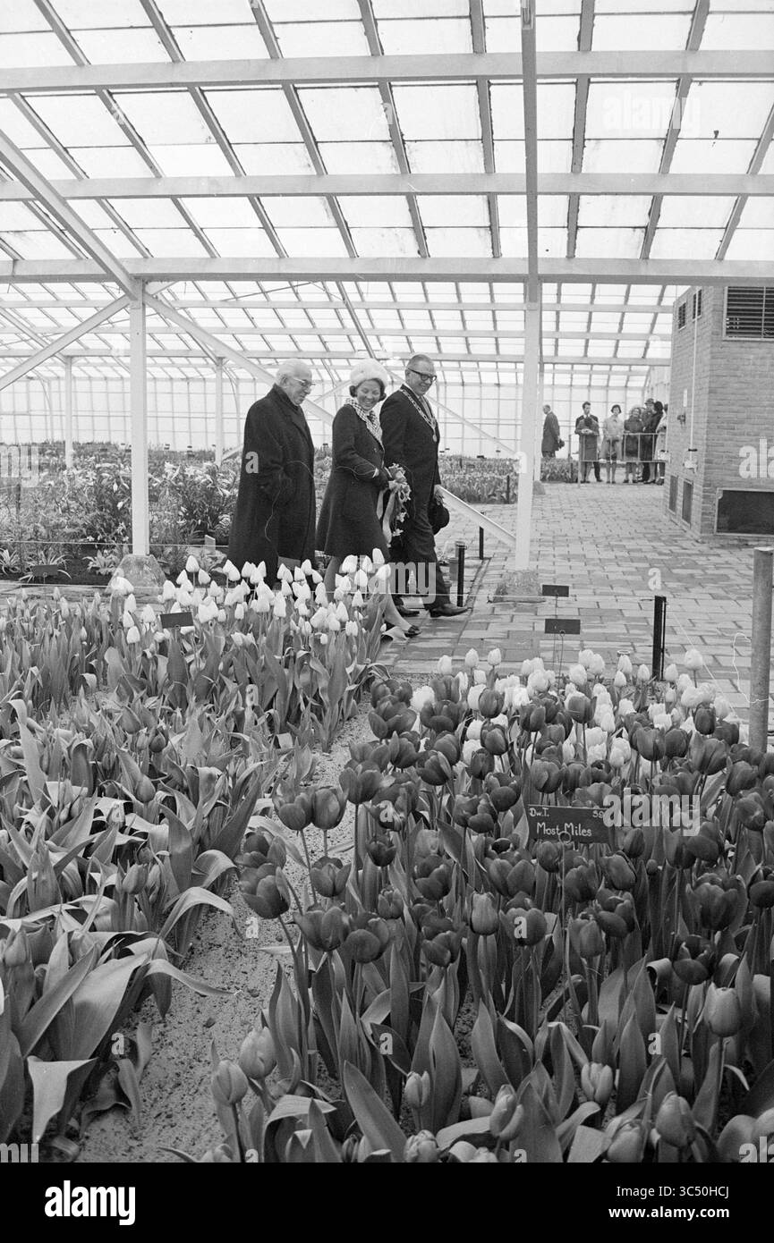 Apertura Keukenhof, tenuta della Fondazione Keukenhof a Lisse, 26-03-1969 Whizgle News, Dutch Desk, Paesi Bassi, 1950-2000 Un gruppo di individui cammina attraverso una serra, circondata da vibranti tulipani e altri fiori, con i visitatori che osservano da lontano. Foto Stock