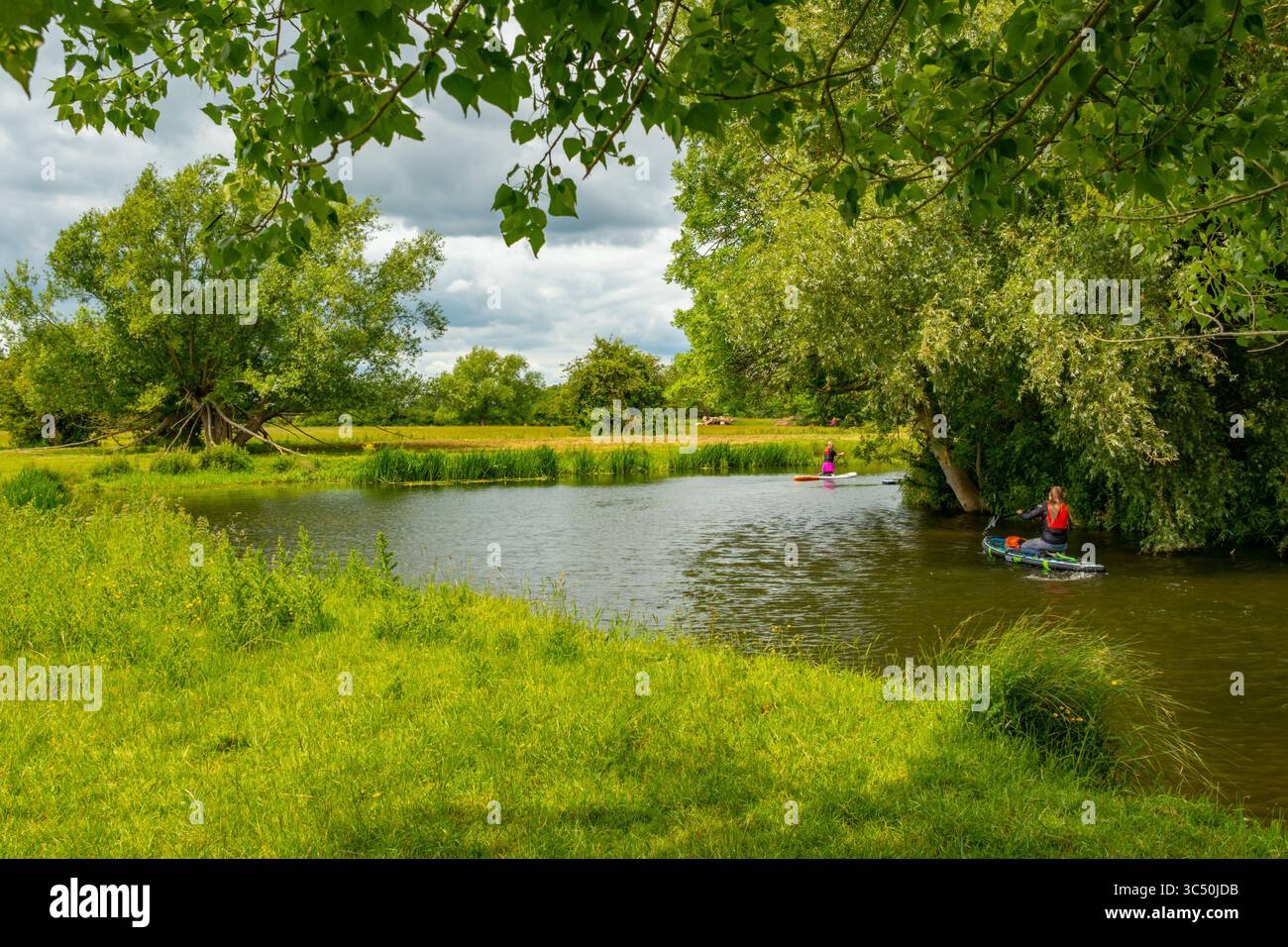 Standup paddle board sul fiume stour tra Flatford e Dedham Foto Stock