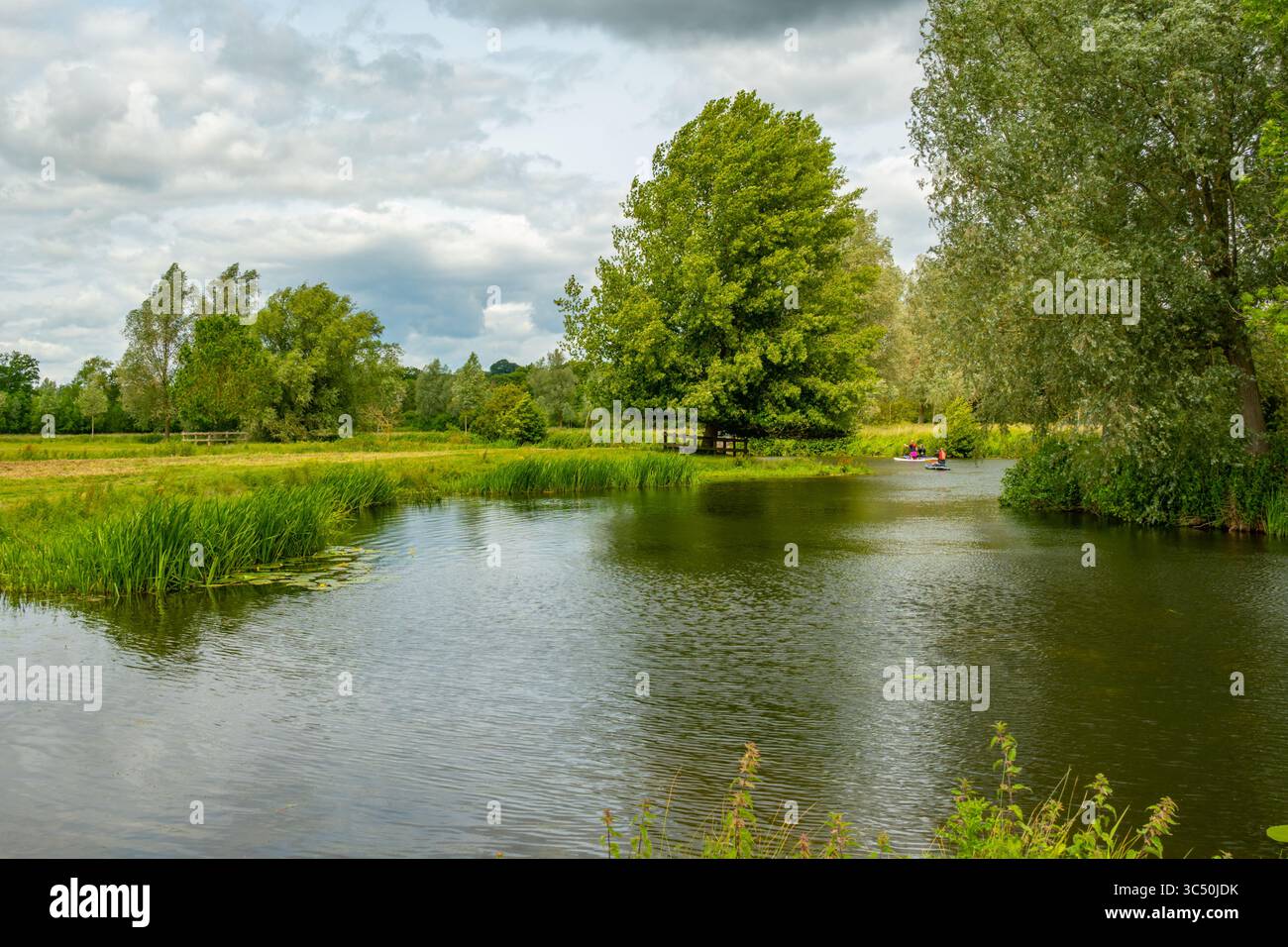 Standup paddle board sul fiume stour tra Flatford e Dedham Foto Stock