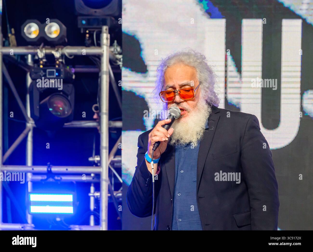 Ealing Blues Festival 2025 Foto Stock