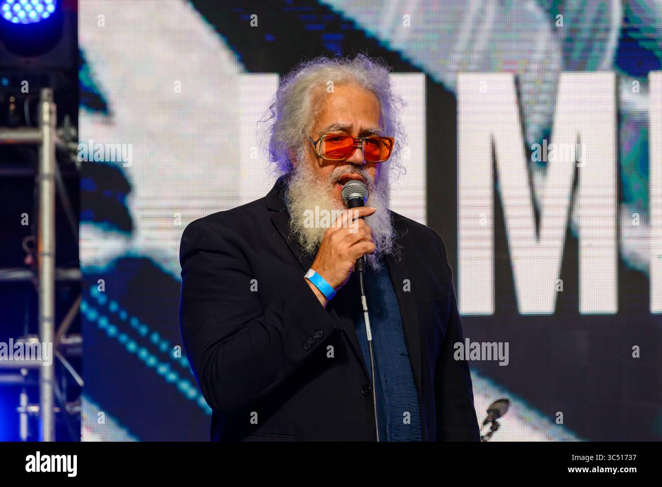 Ealing Blues Festival 2025 Foto Stock