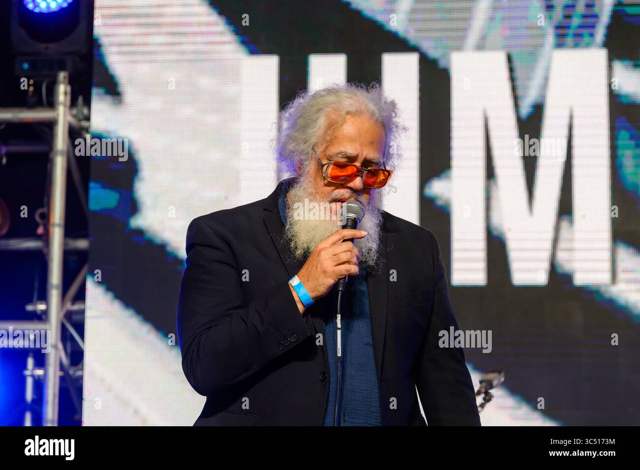 Ealing Blues Festival 2025 Foto Stock