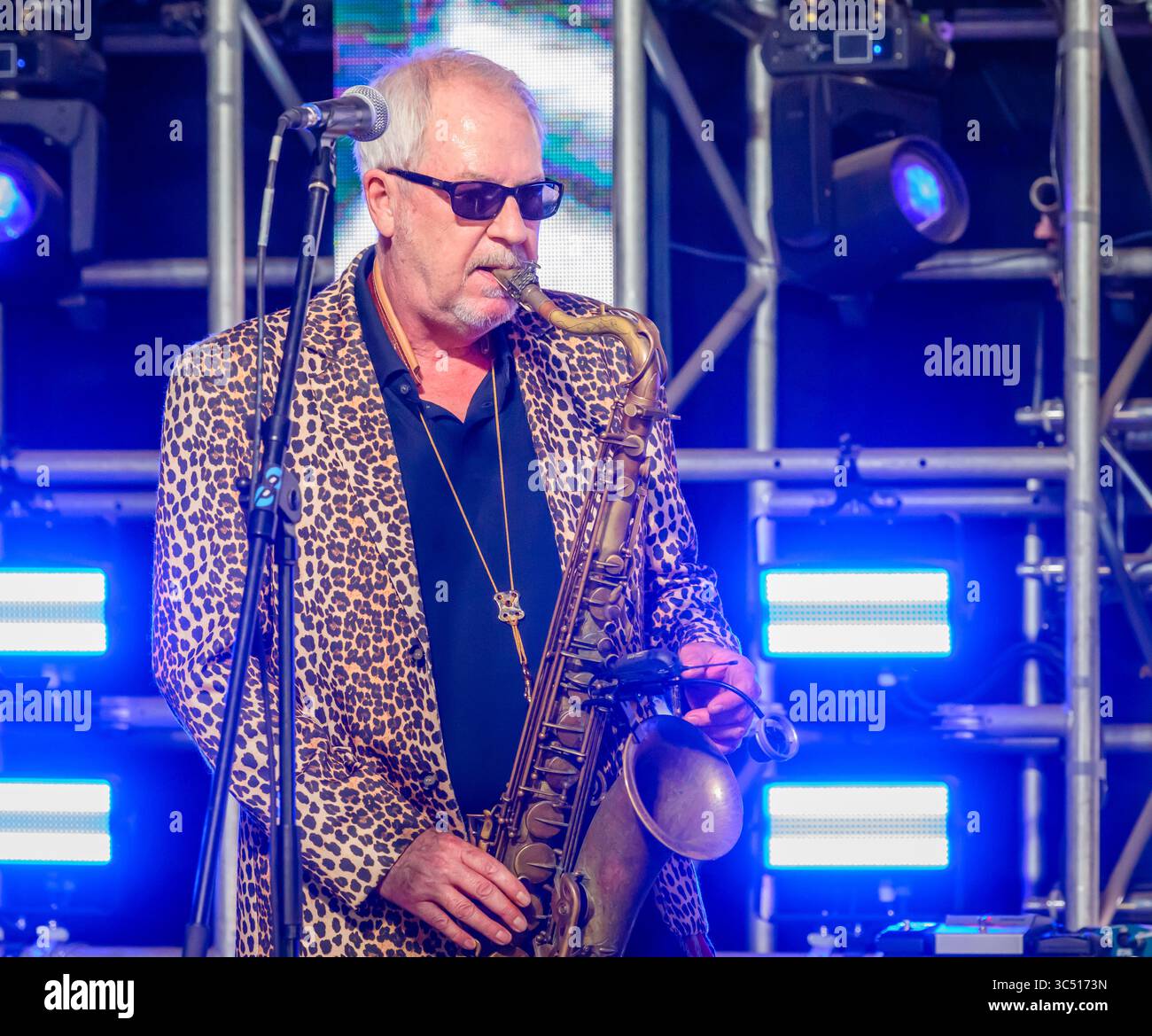 Ealing Blues Festival 2025 Foto Stock