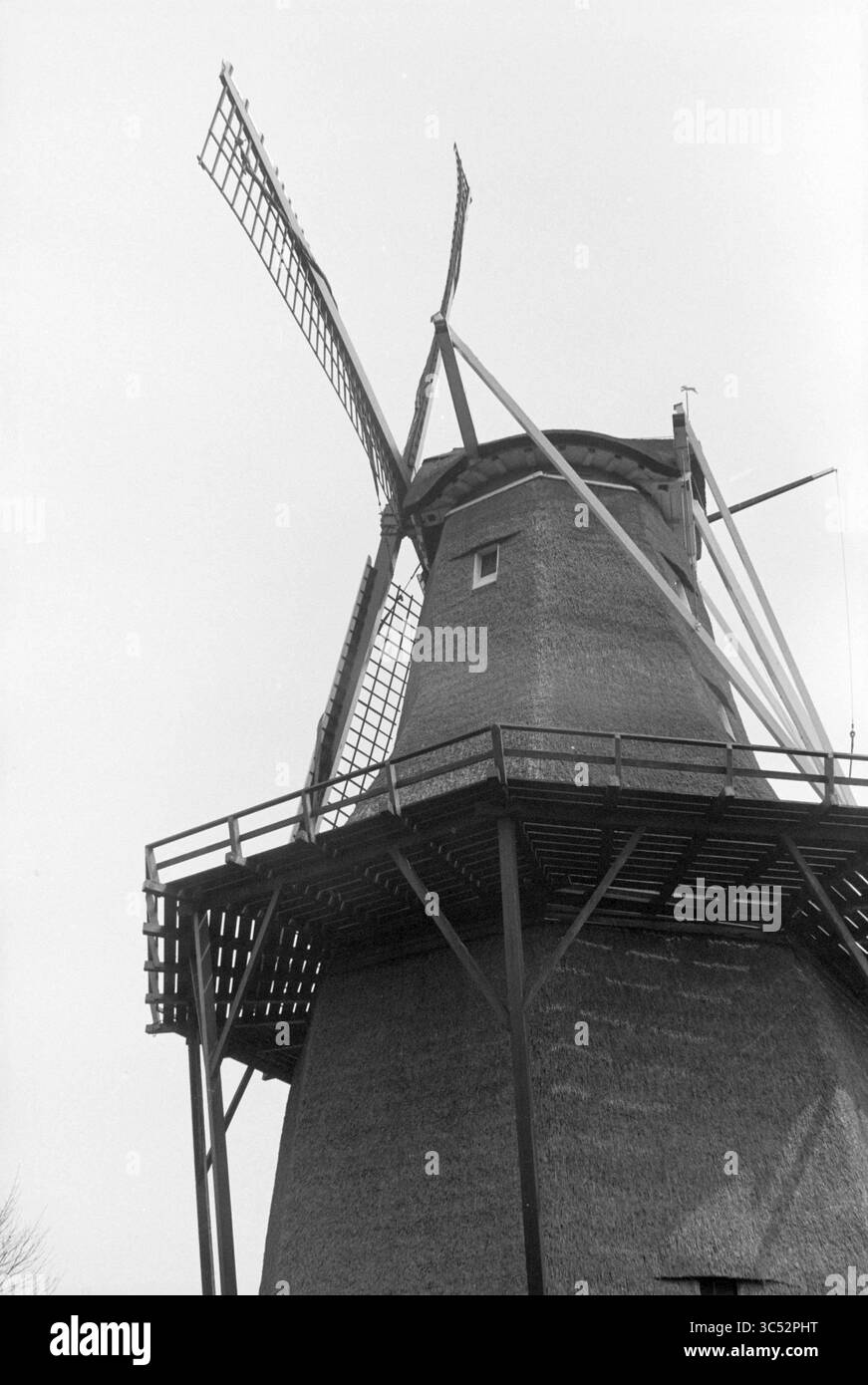Mill de Zandhaas, Santpoort, Mills, Santpoort, 27-04-1981 Whizgle News Dutch Desk, Paesi Bassi, 1950-2000 Un mulino a vento tradizionale si erge in primo piano, le sue pale sono estese e pronte ad agire contro un cielo bianco. La struttura presenta una solida base in legno e un tetto di paglia, che evoca un senso di storia agricola e fascino rustico. Foto Stock