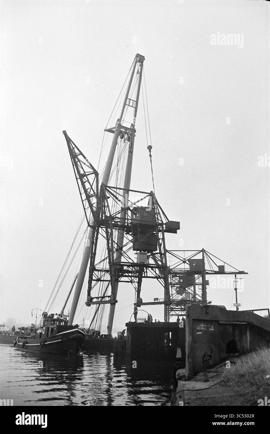 Spostamento di 4 gru a causa di un nuovo cavalletto Red Goedkoop, fabbriche, produzione, officine, fabbrica di carta Van Gelder & Zonen Velsen, 26-11-1962 Whizgle News, Dutch Desk, Paesi Bassi, 1950-2000 Una grande gru incombe su un molo, pronta a sollevare carichi pesanti da una barca vicina. La struttura mette in mostra complesse lavorazioni in metallo, evidenziando l'ambiente industriale del lungomare. L'atmosfera è tranquilla, con luce soffusa che illumina la scena. Foto Stock