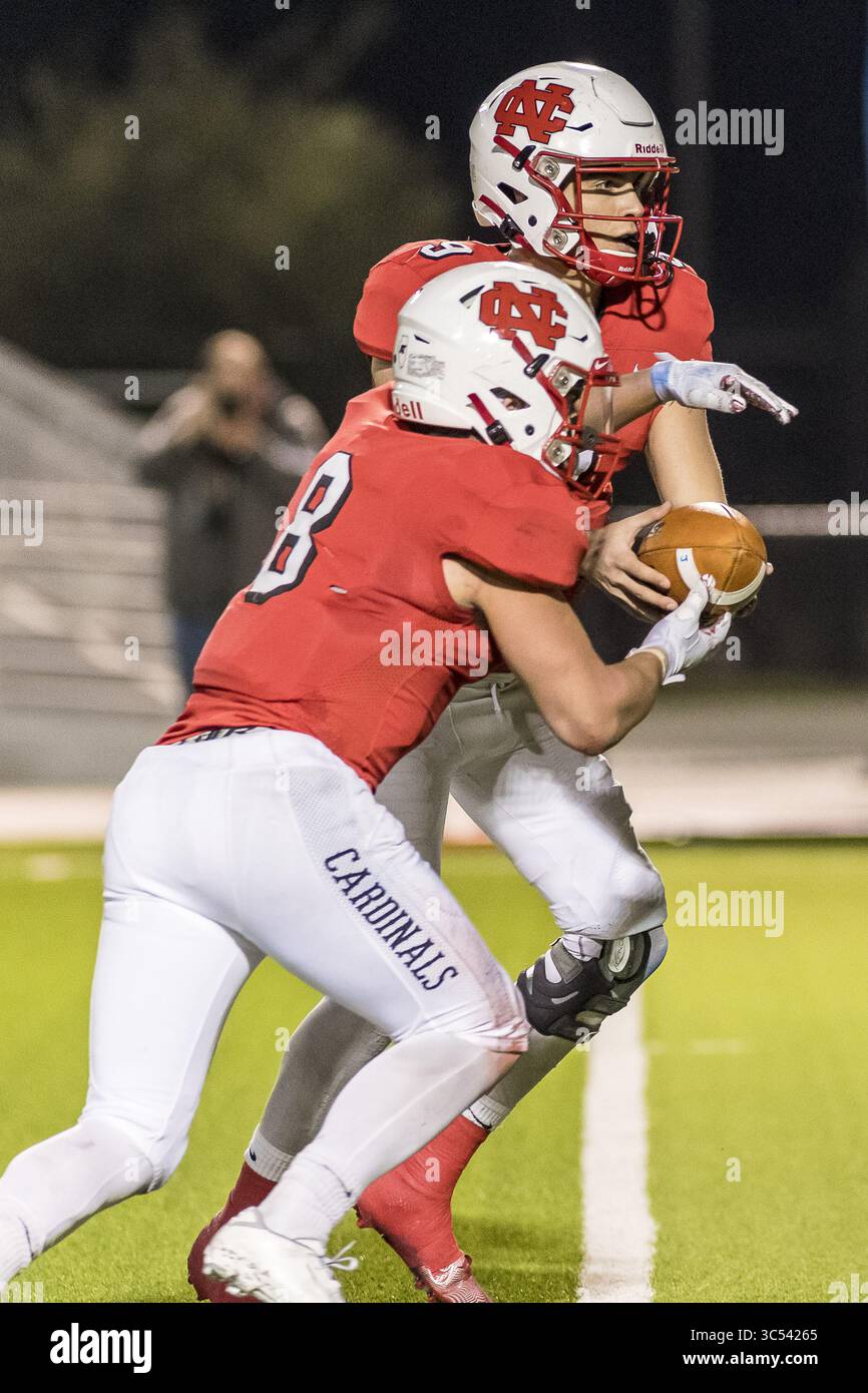 20 dicembre 2019, Shenandoah, Texas, Stati Uniti: Il quarterback dei North Central-Cardinals BROC RUTTER (9) palla di mani al running back dei North Central-Cardinals ETHAN GREENFIELD (8) nella partita tra Wisconsin-Whitewater e North Central College (il) al Woodforest Bank Stadium, Shenandoah, Texas (Credit Image: © Lynn Pennington/ZUMA Wire) Foto Stock