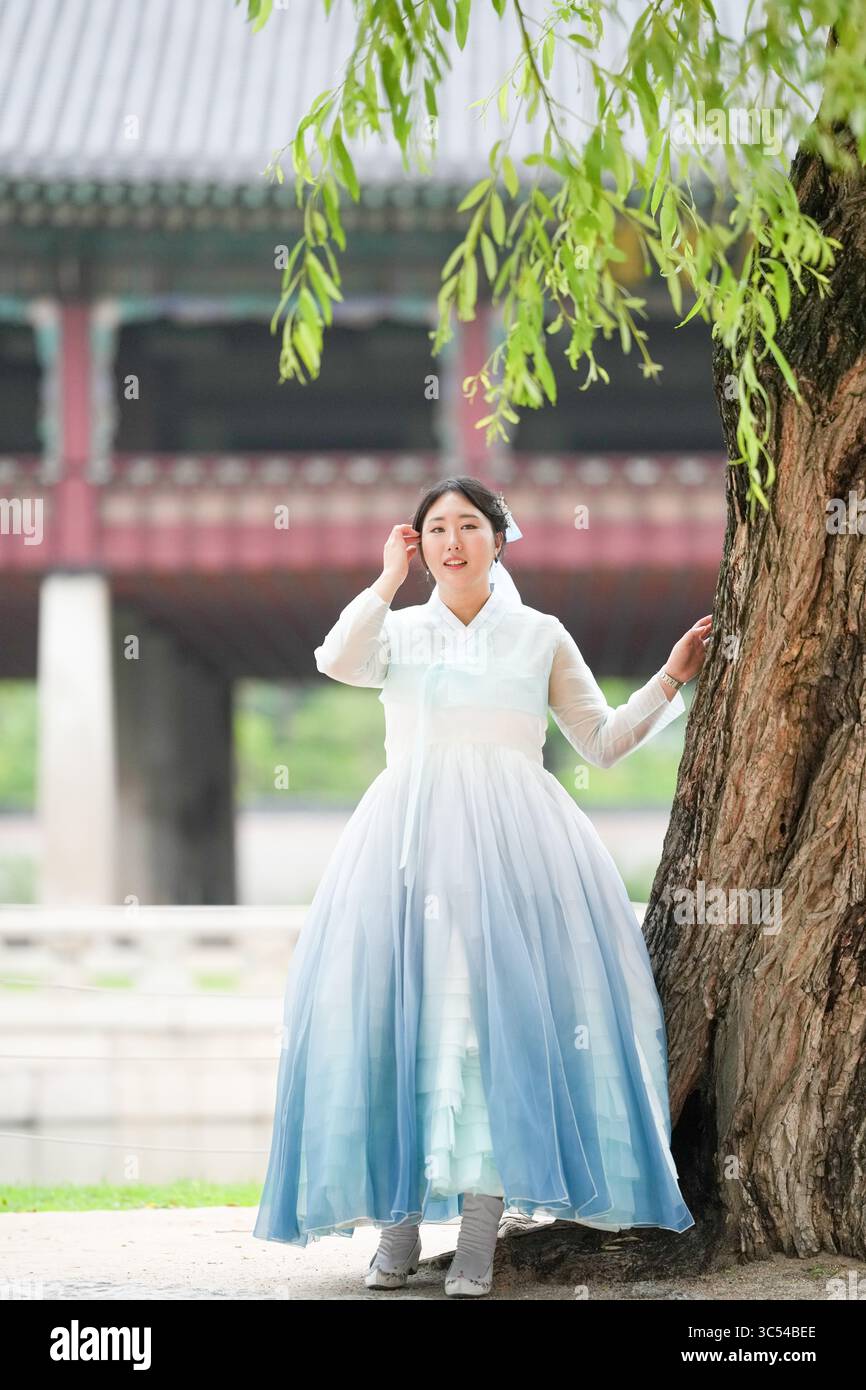 Una donna coreana di vent'anni si erge accanto a un antico albero al Palazzo Gyeongbokgung, indossando un affascinante hanbok blu cielo contro l'architettura storica e. Foto Stock