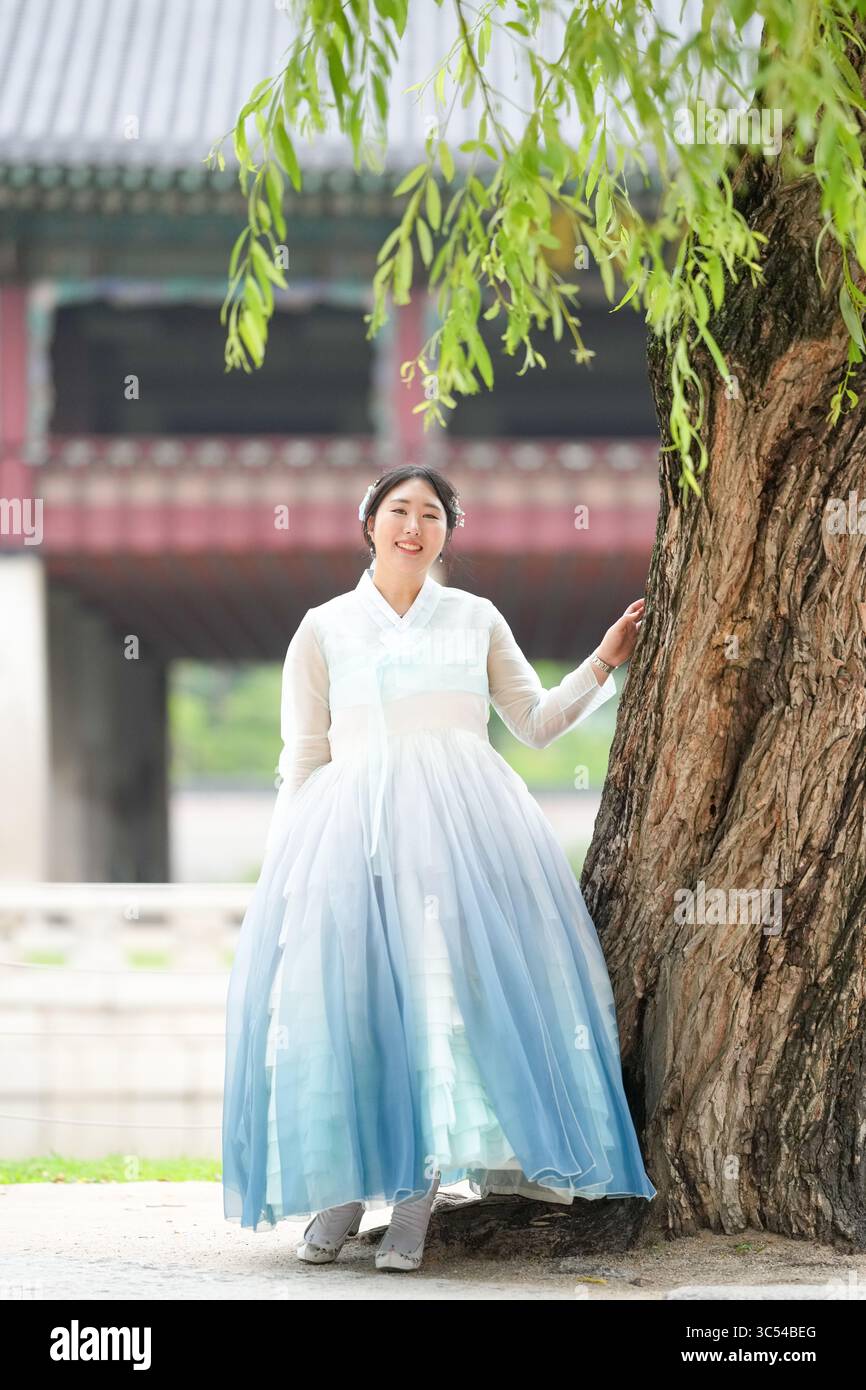 Una donna coreana di vent'anni si erge accanto a un antico albero al Palazzo Gyeongbokgung, indossando un affascinante hanbok blu cielo contro l'architettura storica e. Foto Stock