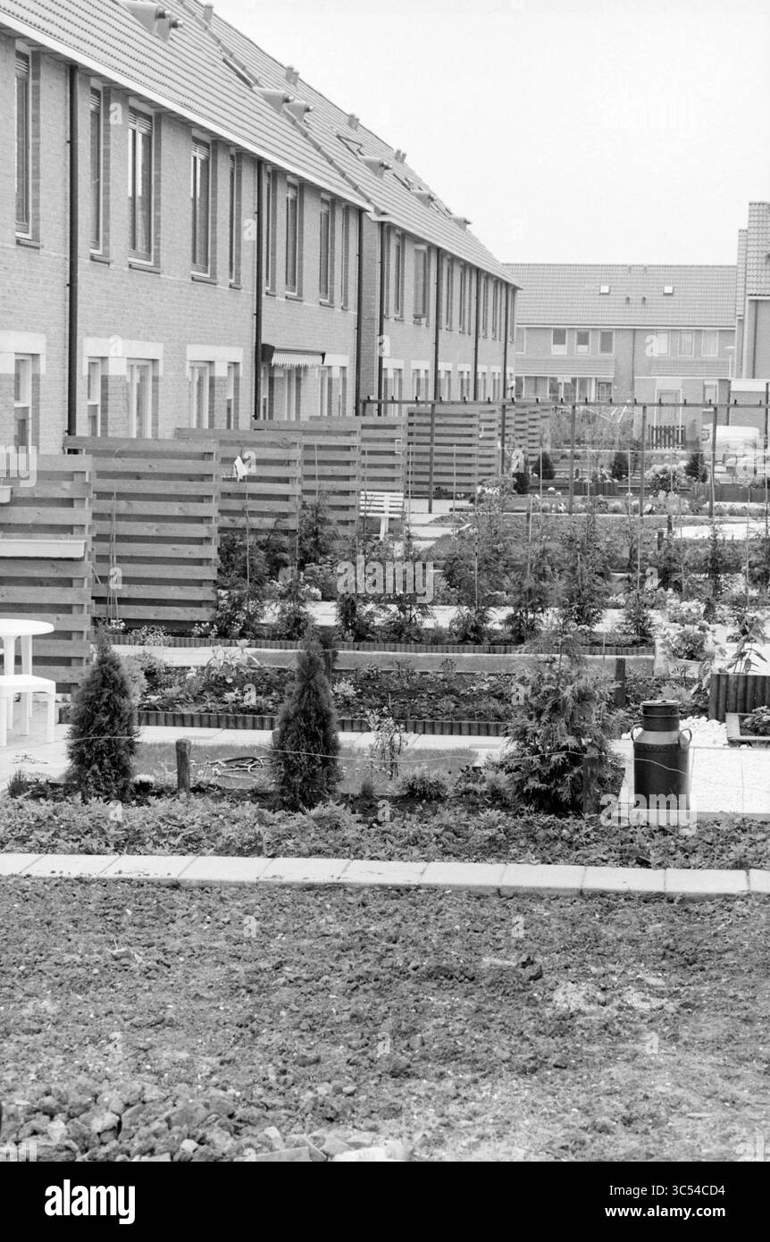 Gardens in the Velserbroek, Gardens and Parks, Velserbroek, 04-06-1987 Whizgle News, Dutch Desk, i Paesi Bassi, 1950-2000 Un tranquillo quartiere residenziale caratterizzato da giardini ben curati con aiuole di fiori ben disposte e piccoli arbusti, delimitati da moderne case cittadine. I sentieri si snodano attraverso il paesaggio, esaltando l'atmosfera tranquilla della vita comune. Foto Stock