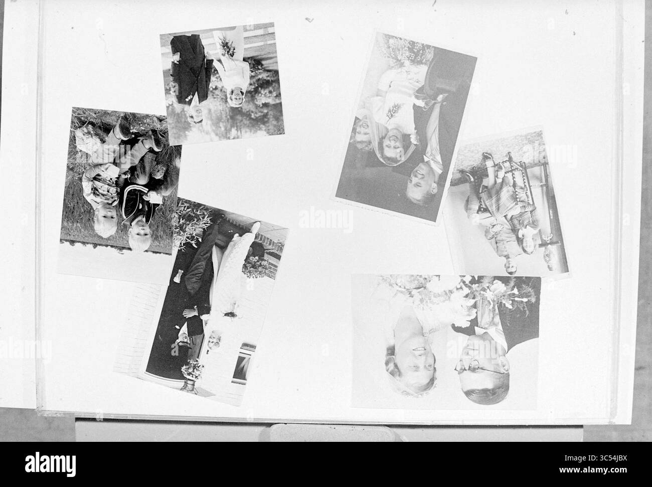 Foto nuziali in un album di famiglia Whizgle News, Dutch Desk, Paesi Bassi, 1950-2000 Una raccolta di fotografie d'epoca che mostrano momenti gioiosi, tra cui coppie che sorridono il giorno del loro matrimonio, bambini che giocano e famiglie in posa insieme, il tutto organizzato in un layout sparso. Foto Stock