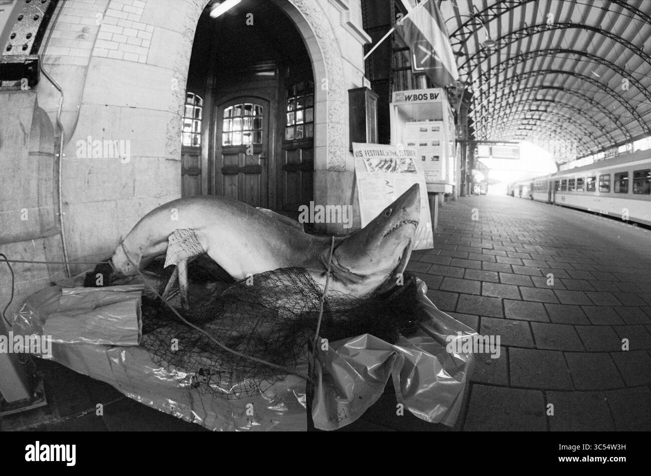 Shark sulla piattaforma della stazione, 01-10-1992 Whizgle News, Dutch Desk, Paesi Bassi, 1950-2000 Un grande squalo, parzialmente avvolto in una rete, giace su una piattaforma sotto un baldacchino ad arco della stazione ferroviaria, circondato da poster e un binario ferroviario vuoto. Foto Stock