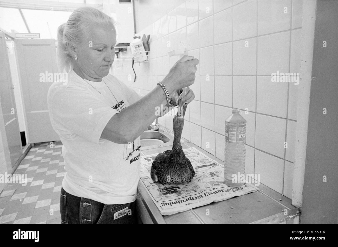 Anatra con botulismo, fondo per il disastro degli uccelli, uccelli, 12-07-1989 Whizgle News, Dutch Desk, i Paesi Bassi, 1950-2000 persone preparano un uccello per cucinare in un ambiente di cucina, maneggiandolo con cura mentre è circondato da vari utensili e superfici tipici per la preparazione degli alimenti. Foto Stock