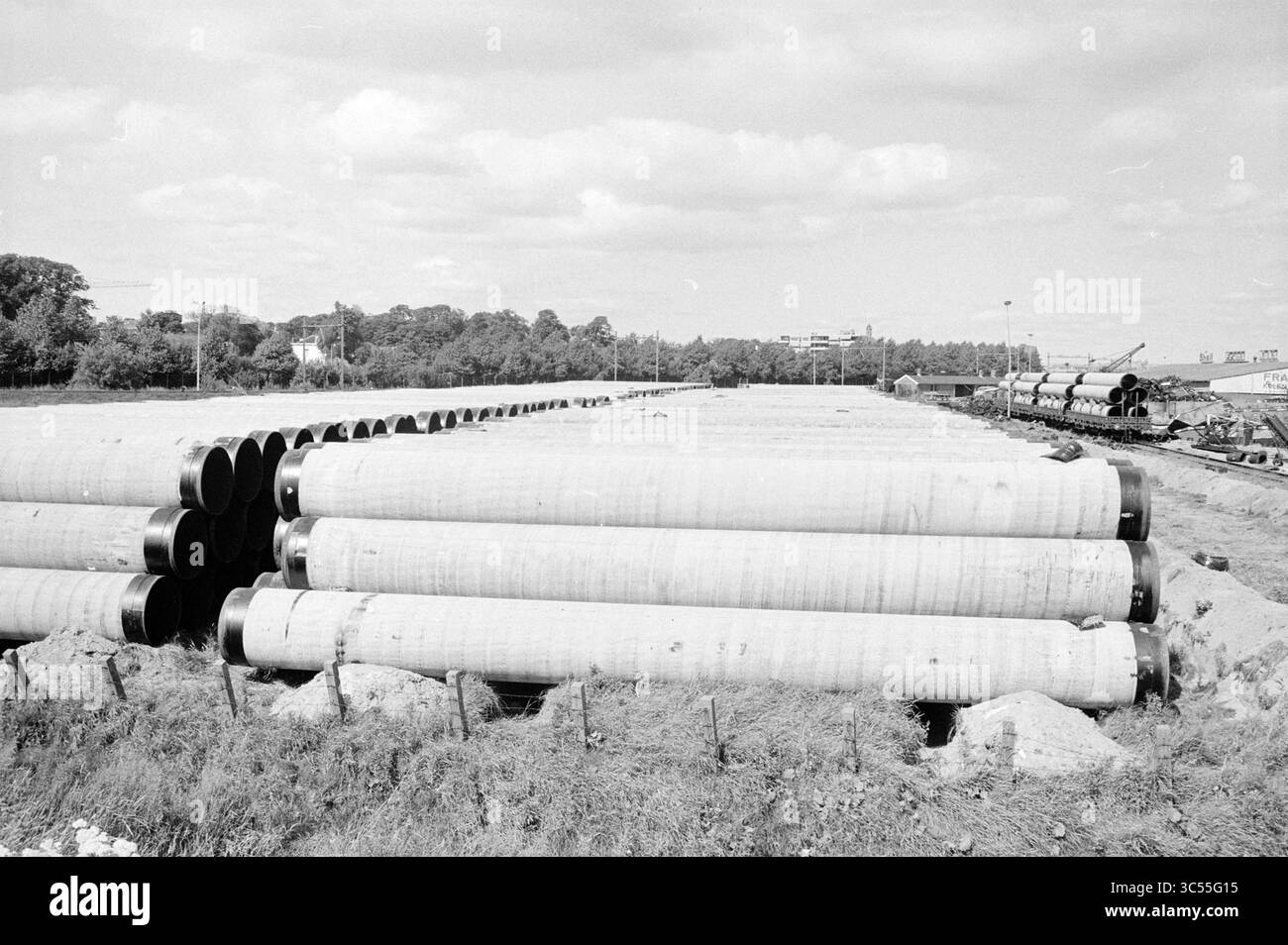 Pipes at Beverwijk station, laying Pipes, 13-07-1971 Whizgle News, Dutch Desk, Paesi Bassi, 1950-2000 Una grande pila di tubi in cemento disposti ordinatamente in un cantiere, con alberi e edifici distanti visibili sullo sfondo. Foto Stock