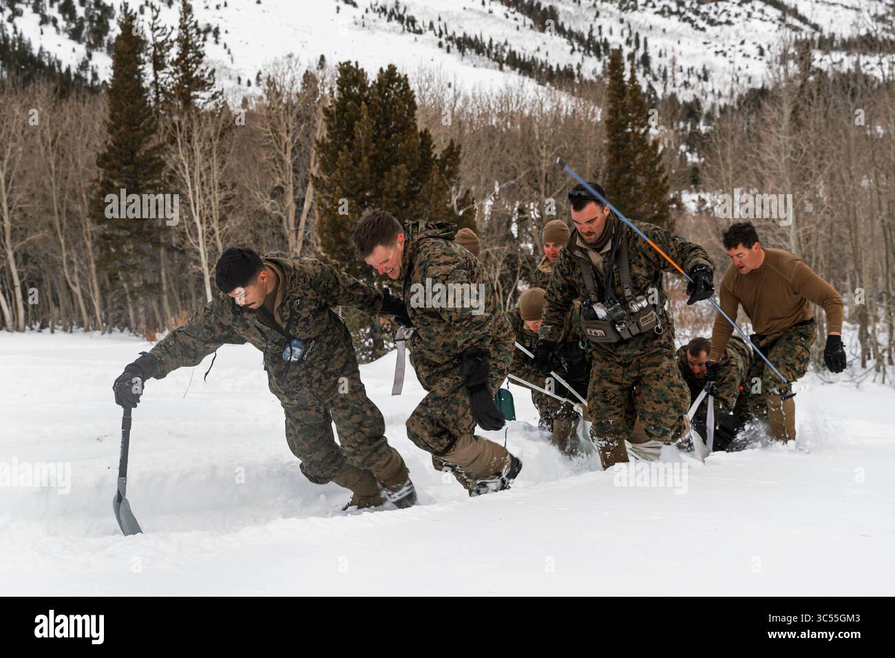 20 dicembre 2019 - Bridgeport, California, USA - U.S. Marines con il Marine Corps Mountain Warfare Training Center (MCMWTC), spostare una vittima simulata durante un corso di qualificazione interna (IQC) presso MCMWTC, Bridgeport, California, 17 dicembre 2019. Lo scopo dell'IQC è quello di addestrare marines e marinai in tecniche e procedure di guerra di montagna per servire efficacemente come Mountain leader Instructors presso MCMWTC. (Immagine di credito: © U.S. Marines/ZUMA Wire/ZUMAPRESS.com) Foto Stock