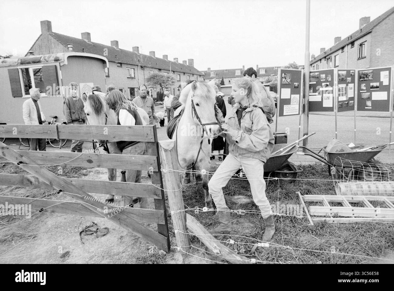 Cavalli in una zona residenziale vicino a pannelli informativi del gruppo di lavoro volontario sulla natura, .., South Kennemerland, 00-04-1989 Whizgle News, Dutch Desk, i Paesi Bassi, 1950-2000 Un gruppo di persone interagisce con i cavalli vicino a una recinzione in un ambiente comunitario, mentre una vicina bacheca mostra vari progetti o attività. Una donna è attivamente impegnata con un cavallo bianco, evidenziando la connessione tra gli esseri umani e gli animali. Foto Stock