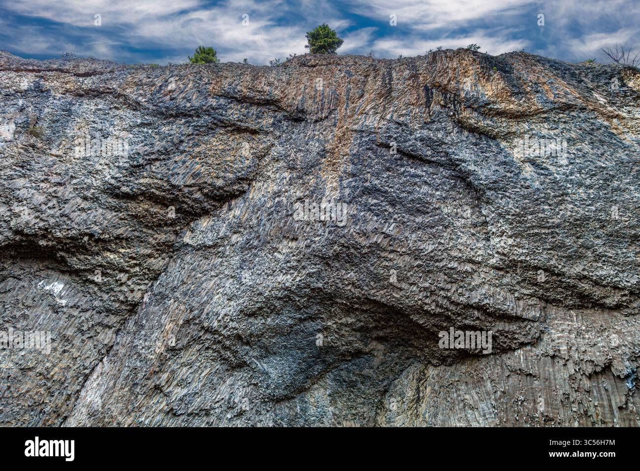 Enormi scogliere colonnari di basalto si innalzano sopra il drenaggio di Tower Creek nella catena settentrionale di Yellowstone, appena a valle di Tower Fall. Foto Stock