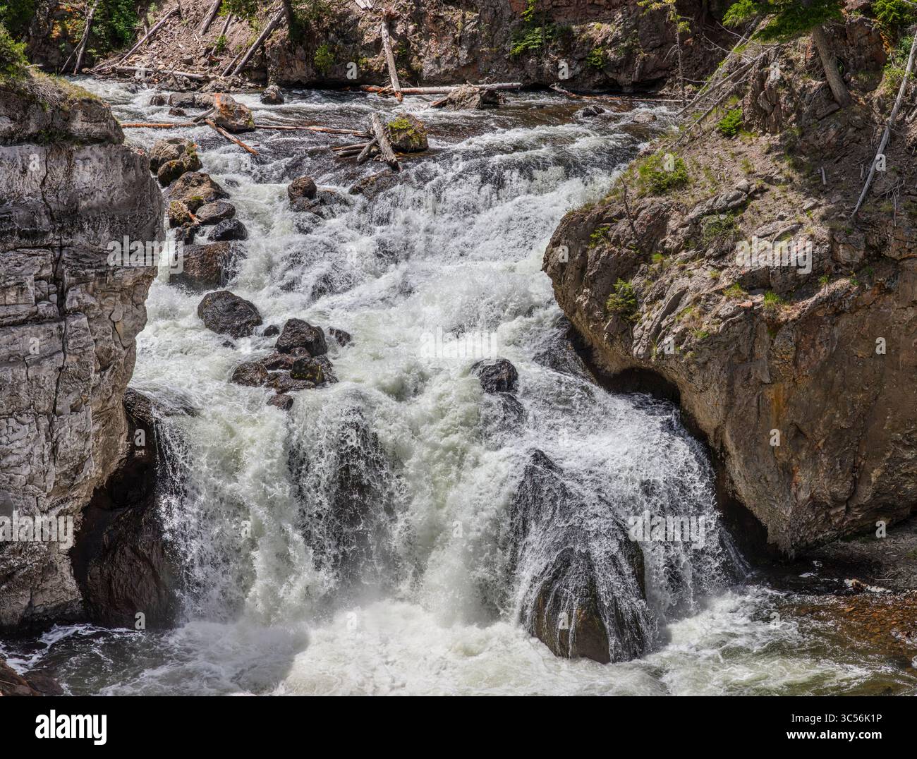 Firehole Falls è una pittoresca cascata di 40 metri situata lungo il fiume Firehole nel Firehole Canyon del parco nazionale di Yellowstone. Foto Stock