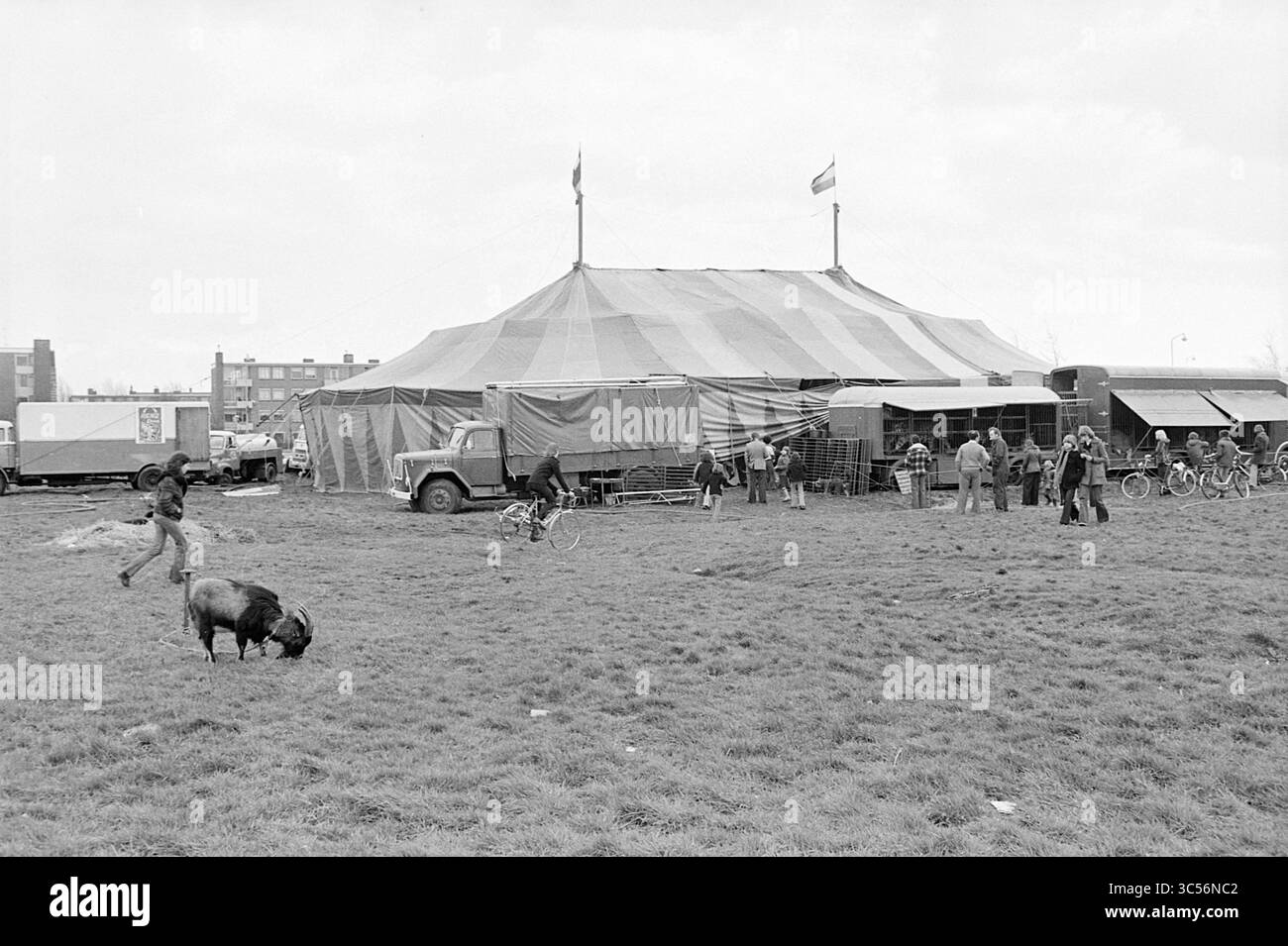 Exest. Circus Renz in Beverwijk, Circus, 02-04-1977 Whizgle News, Dutch Desk, Paesi Bassi, 1950-2000 Una colorata tenda da da circo si erge prominentemente su un campo erboso, circondato da un mix di persone che si impegnano in varie attività, tra cui un artista che intrattiene con un animale giocoso e altri che cavalcano in bicicletta. Nelle vicinanze, i camion sono parcheggiati, aggiungendo l'atmosfera vivace dell'evento. Foto Stock