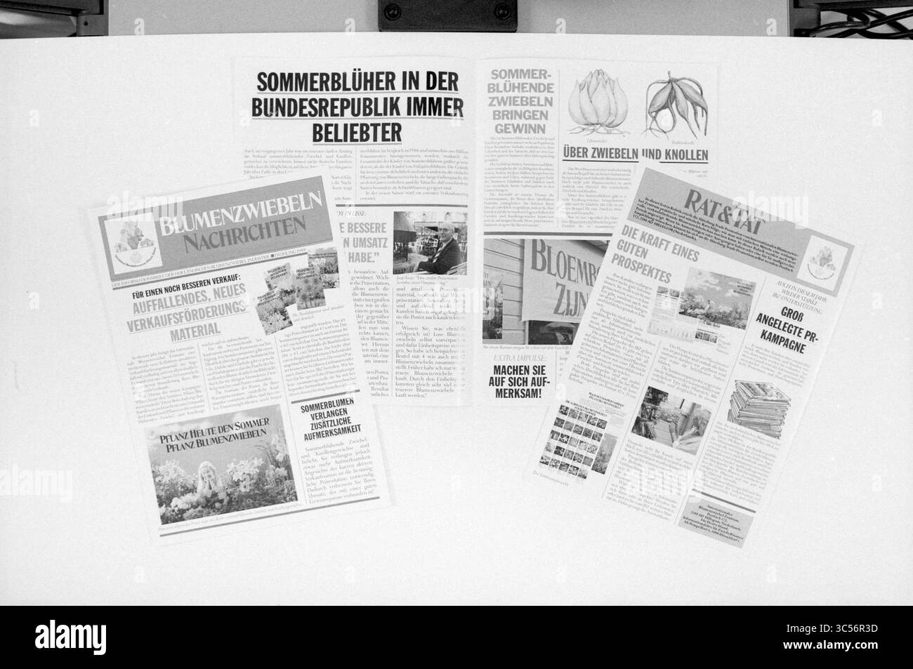 Brochure varie [International Flower Bulb Center, Flower Bulbs, Brochures, 01-03-1989 Whizgle News, Dutch Desk, The Netherlands, 1950-2000 Una raccolta di ritagli di giornali che descrivono argomenti relativi ai bulbi di fiori, consigli sul giardinaggio e agricoltura locale, con titoli e articoli in tedesco. Foto Stock