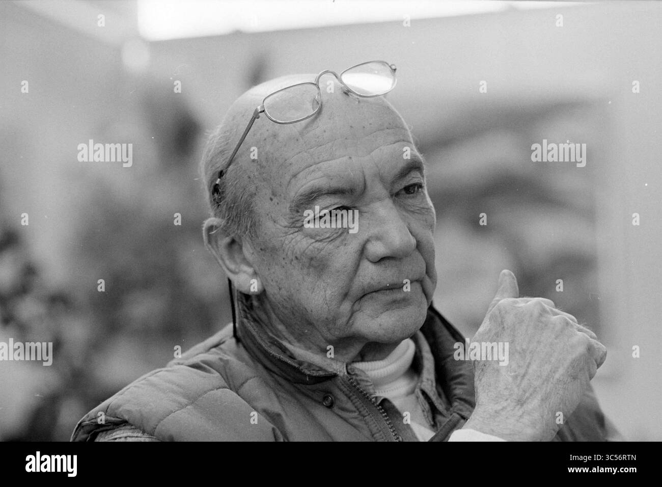 Painter Mellink, Old Indies, 24-11-1993 Whizgle News, Dutch Desk, Paesi Bassi, 1950-2000 un uomo anziano con gli occhiali appollaiati sulla fronte siede con cura, la mano alzata in contemplazione. Indossa un giubbotto sopra un dolcevita, trasudando un senso di saggezza e introspezione. Foto Stock