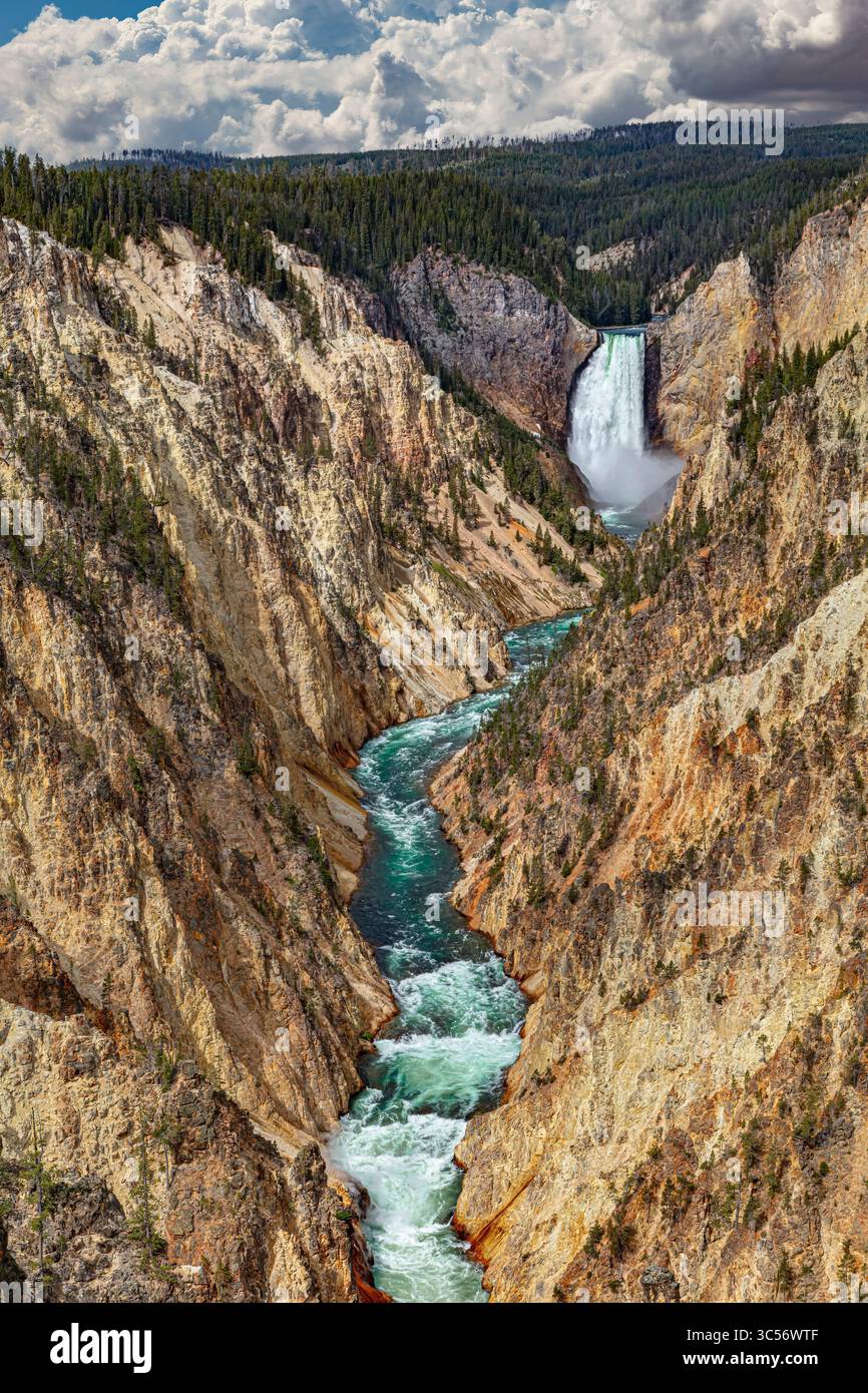Le Lower Falls, il fiume Yellowstone, scorre attraverso il Grand Canyon di Yellowstone, intagliando una profonda gola in strati di tufo vulcanico, riolite. Foto Stock