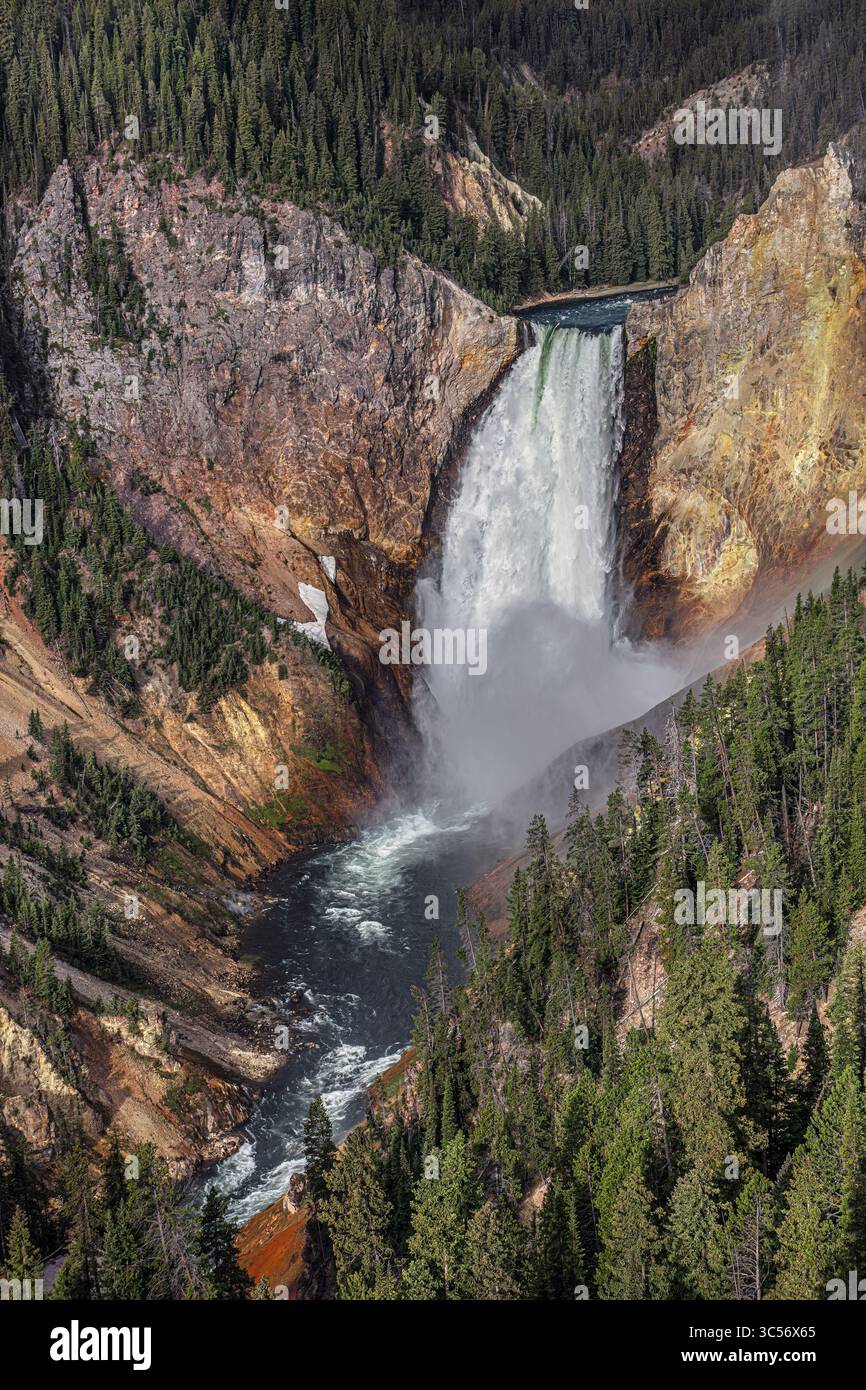 Le Lower Falls del fiume Yellowstone sono la cascata più iconica e potente del parco nazionale di Yellowstone. Foto Stock