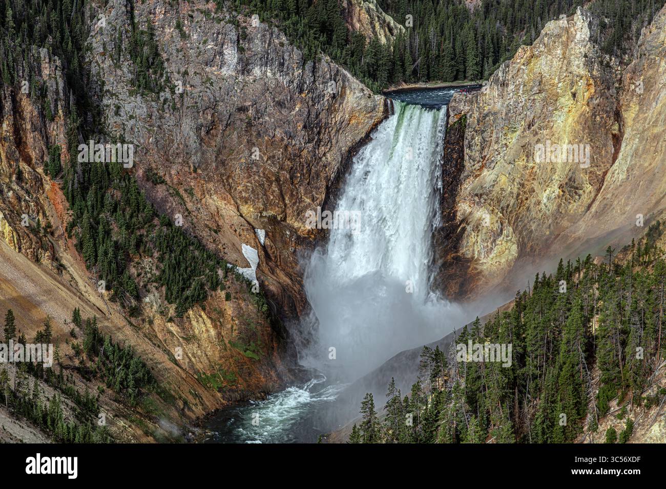 Le Lower Falls del fiume Yellowstone sono la cascata più iconica e potente del parco nazionale di Yellowstone. Foto Stock