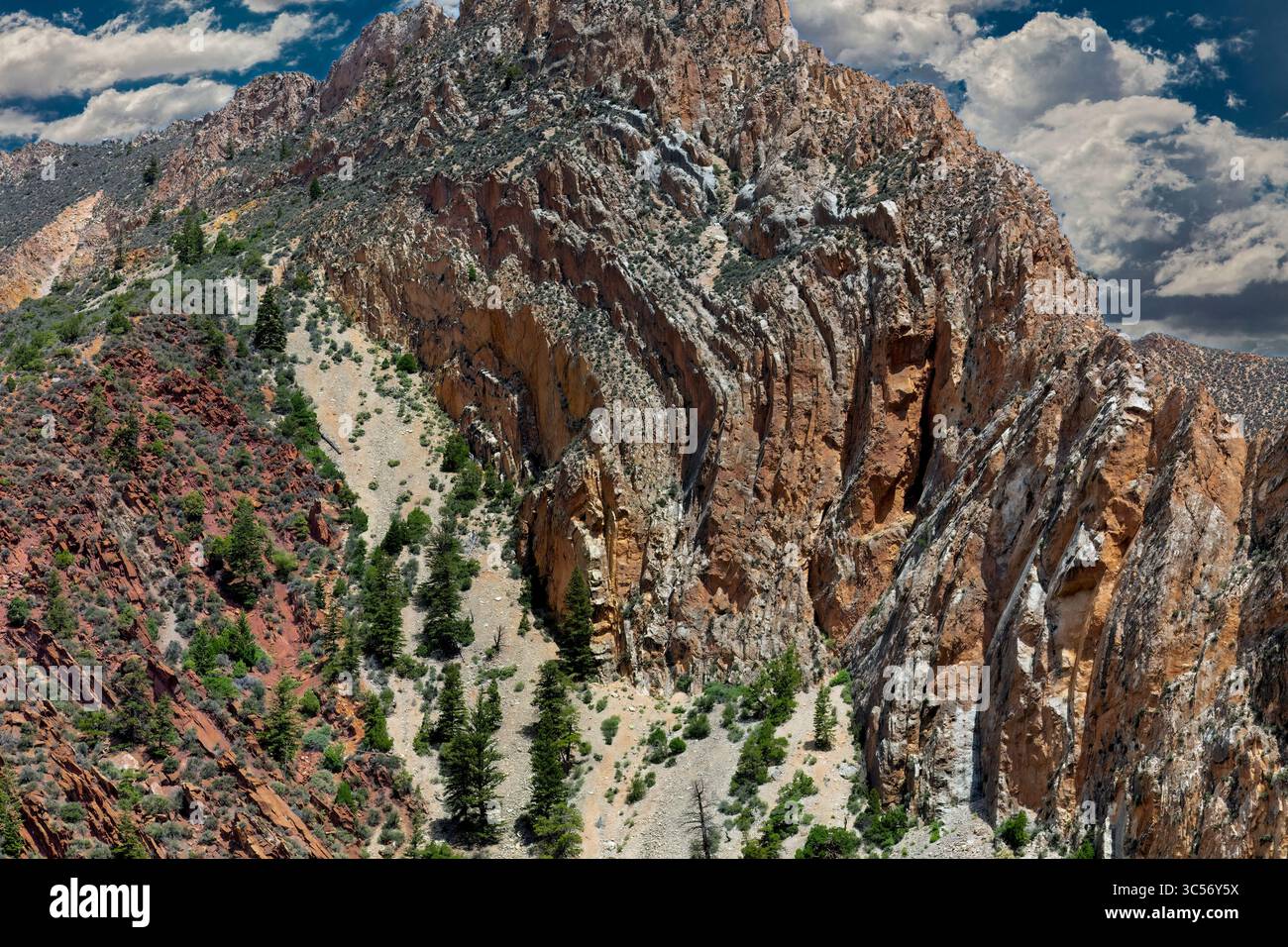 La formazione Morgan è esposta in modo prominente nell'area geologica di Sheep Creek Canyon, nel nord-est dello Utah. Foto Stock