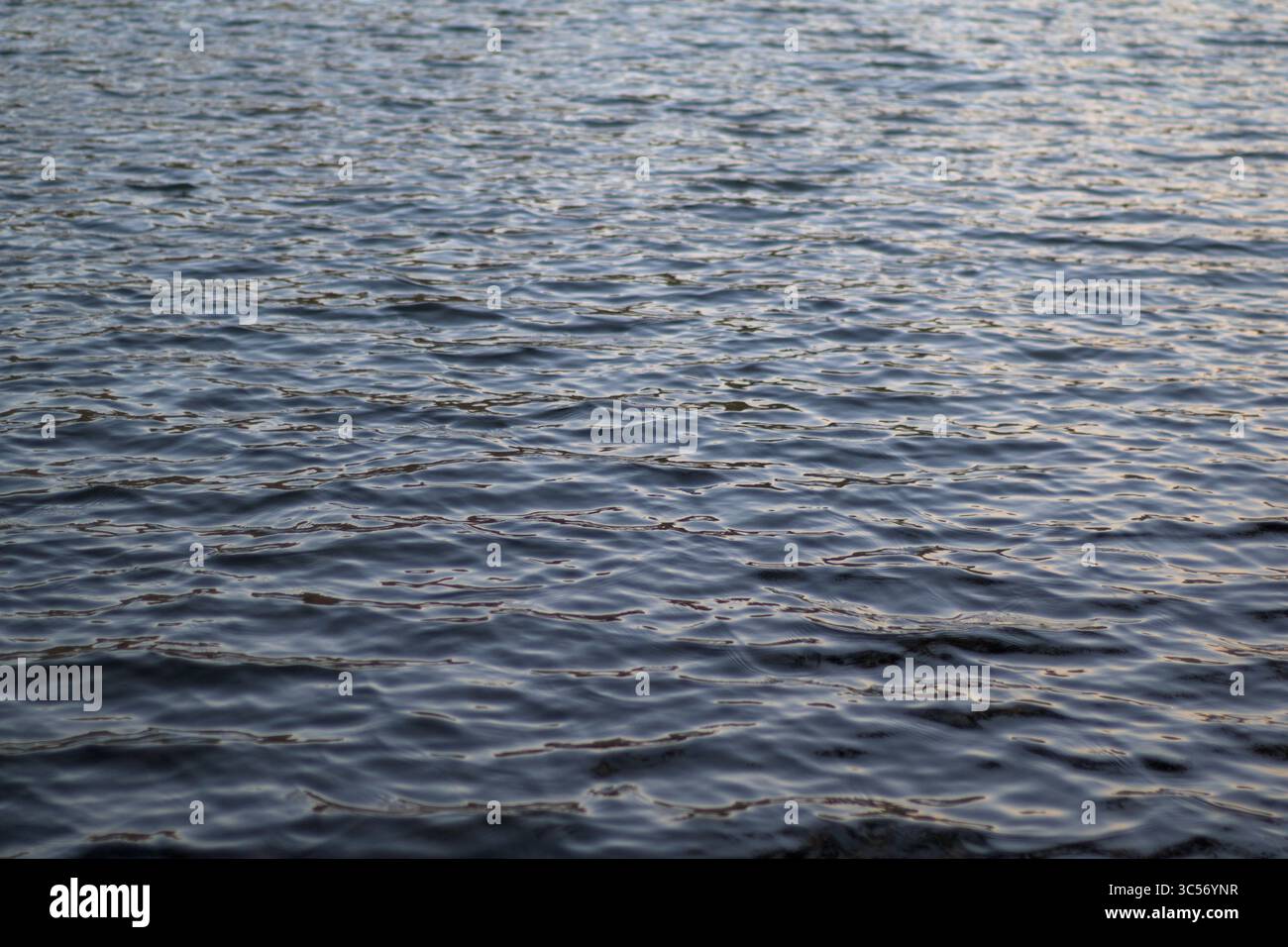 Vista dettagliata di ondulazioni d'acqua delicate sotto la luce naturale soffusa, creando una superficie ruvida e riflettente. Questo tranquillo motivo d'acqua è ideale per il b Foto Stock