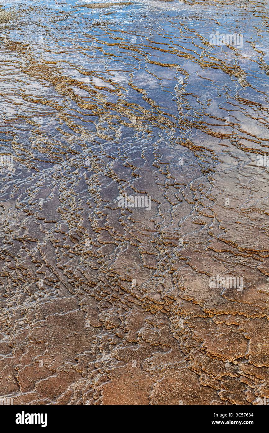 Le sorgenti termali Mammoth nel parco nazionale di Yellowstone rivelano l'intricata struttura superficiale di una terrazza in travertino. Foto Stock