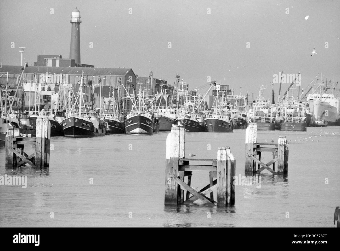 Porto di pescherecci da traino a IJmuiden, IJmuiden, Paesi Bassi, 12-11-1991 Whizgle News, Dutch Desk, i Paesi Bassi, 1950-2000 Una vivace scena portuale presenta una fila di barche da pesca ormeggiate lungo un molo, con un faro e magazzini sullo sfondo. I piloni intemprati si trovano in primo piano, riflettendo l'attività marittima e l'atmosfera industriosa del porto. Foto Stock
