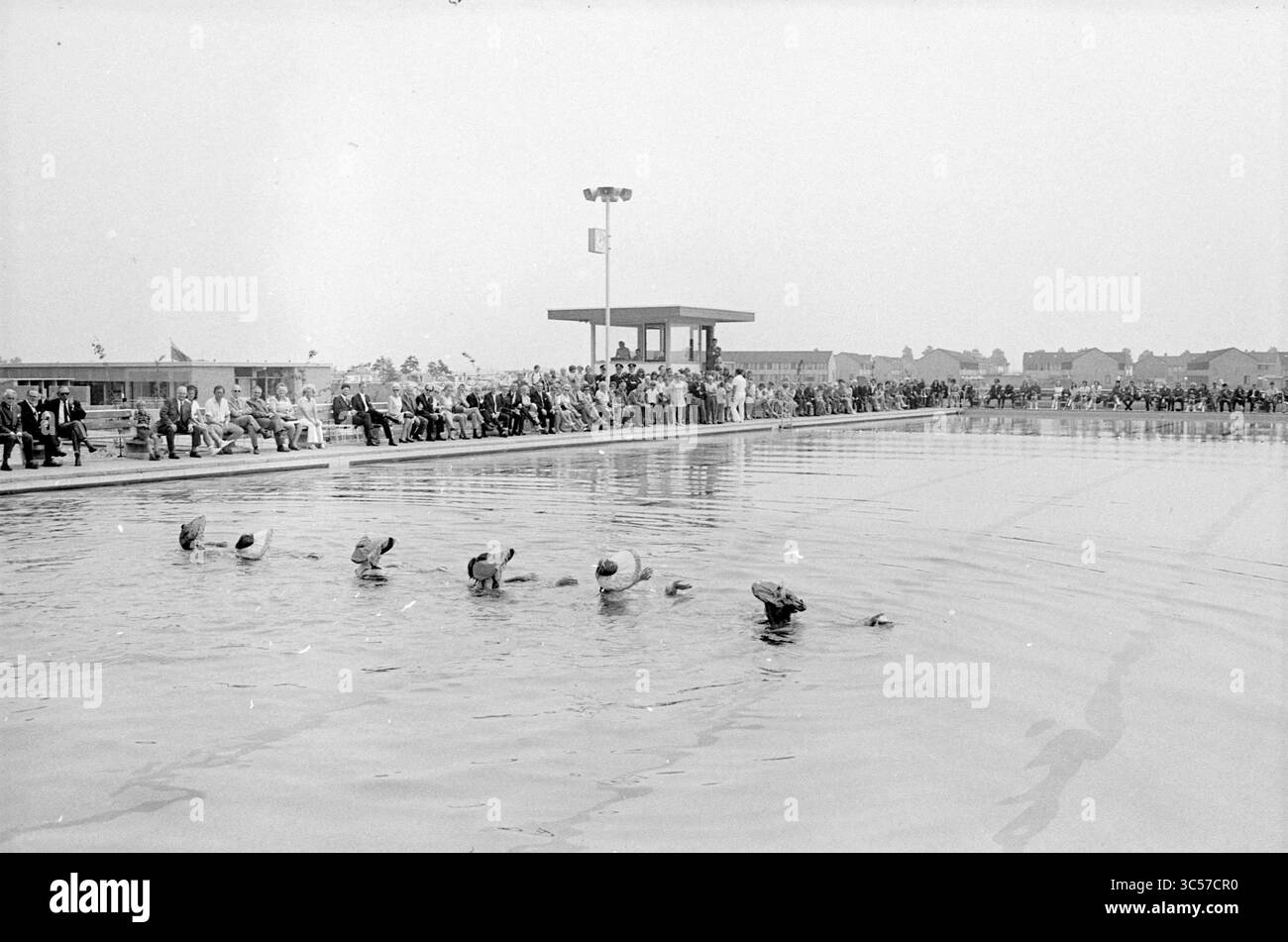 Apertura della piscina, Hillegom, apertura, apertura, messa in funzione, 22-06-1970 Whizgle News, Dutch Desk, Paesi Bassi, 1950-2000 Un gruppo di nuotatori sincronizzati si esibisce in una grande piscina, mentre un pubblico diversificato guarda dall'area circostante. La scena cattura un mix di eccitazione e concentrazione, con persone sedute lungo il bordo, evidenziando la popolarità dell'evento. Foto Stock