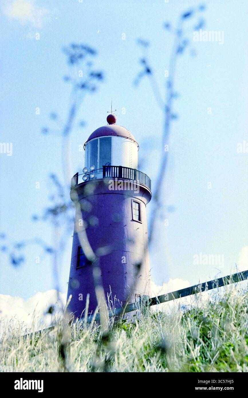 Faro piccolo [o basso], IJmuiden, IJmuiden, Seinpostweg, Paesi Bassi, 28-08-2000 Whizgle News, Dutch Desk, Paesi Bassi, 1950-2000 Un alto faro si erge in cima a una collina erbosa, con la sua cupola rotonda rossa che contrasta con il cielo limpido. Delicati fiori selvatici incorniciano la scena, aggiungendo un tocco di natura alla struttura costiera, che fornisce una luce guida per i marinai. Foto Stock