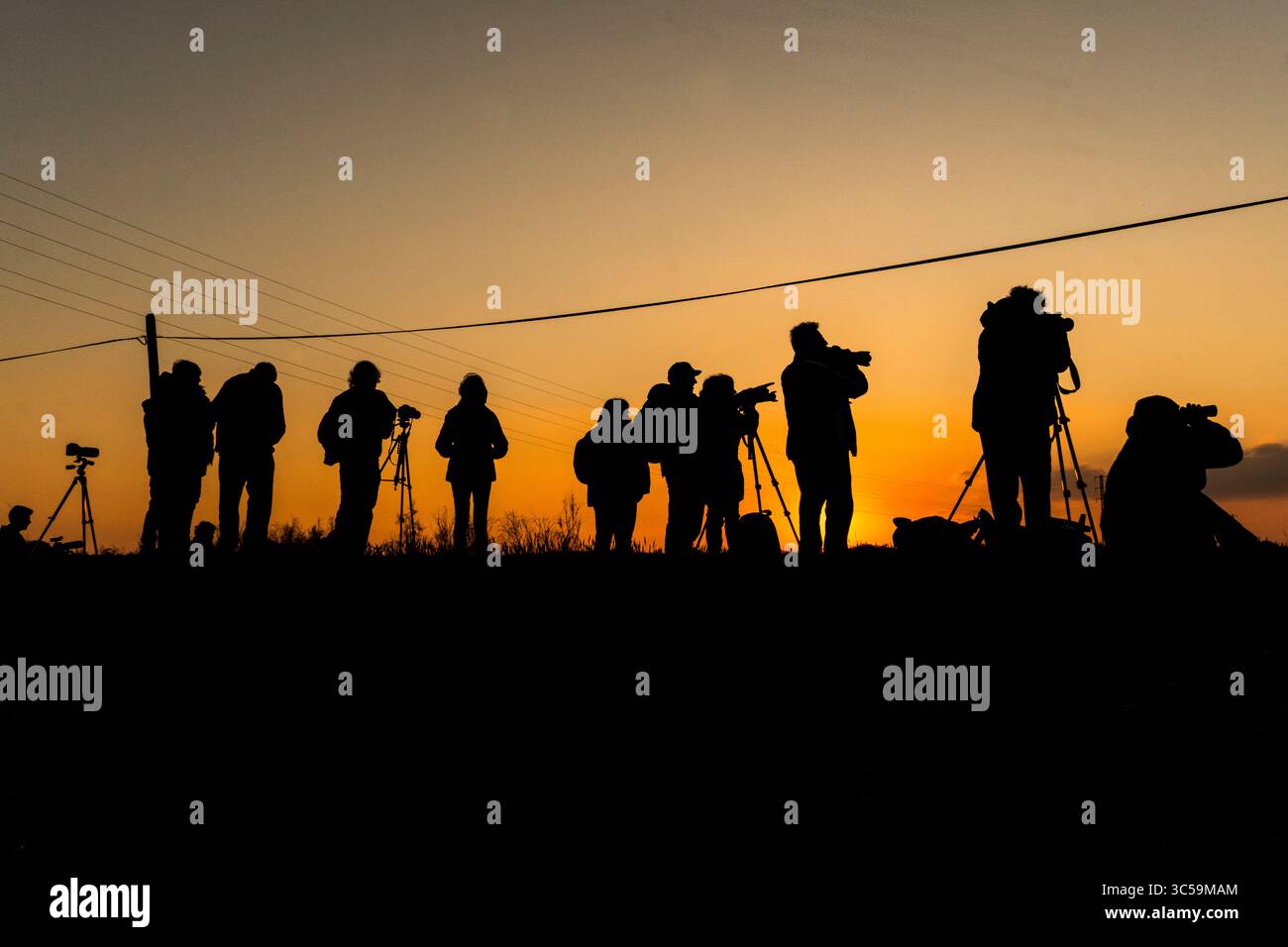 18 gennaio 2020, Catalogna, Spagna: I fotografi catturano muratori di storni (Sturnus vulgaris) nel Parco naturale Aiguamolls de l'Emporda nel nord-est della Spagna. (Immagine di credito: © Dani Salva/ZUMA Wire) Foto Stock