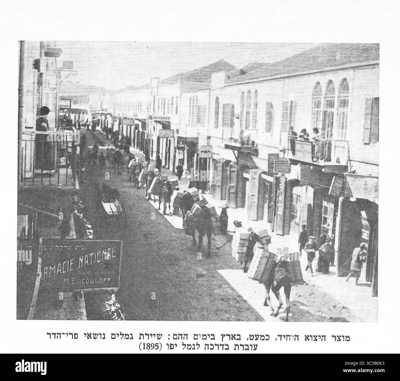 L'unica esportazione - arance di Jaffa su animali da imballaggio sulla rotta per il porto di Jaffa 1895 Foto Stock