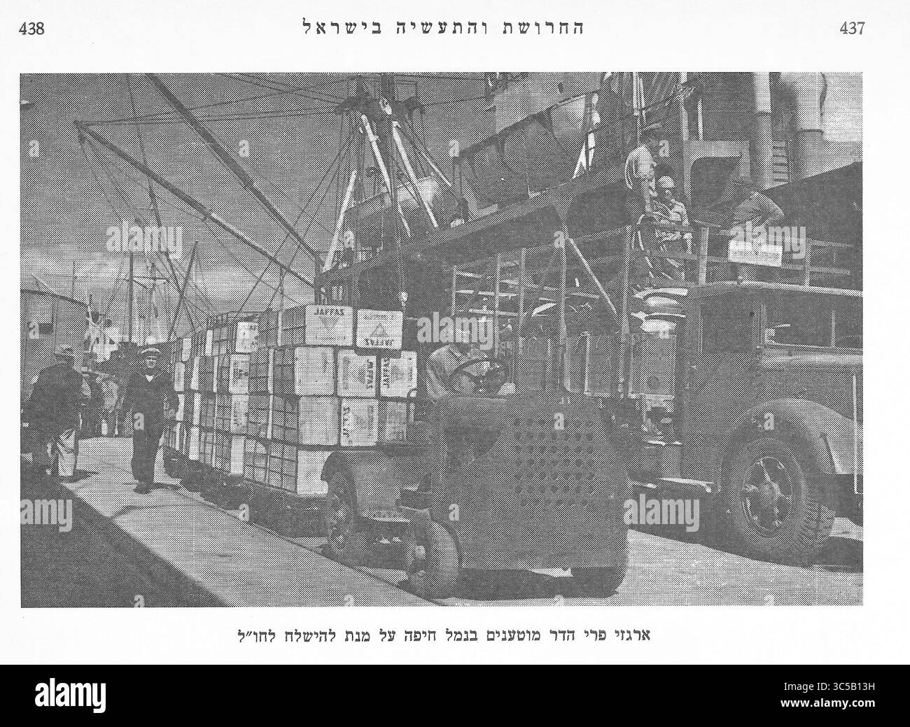 Carico di arance di Jaffa per l'esportazione al porto di Haifa Foto Stock