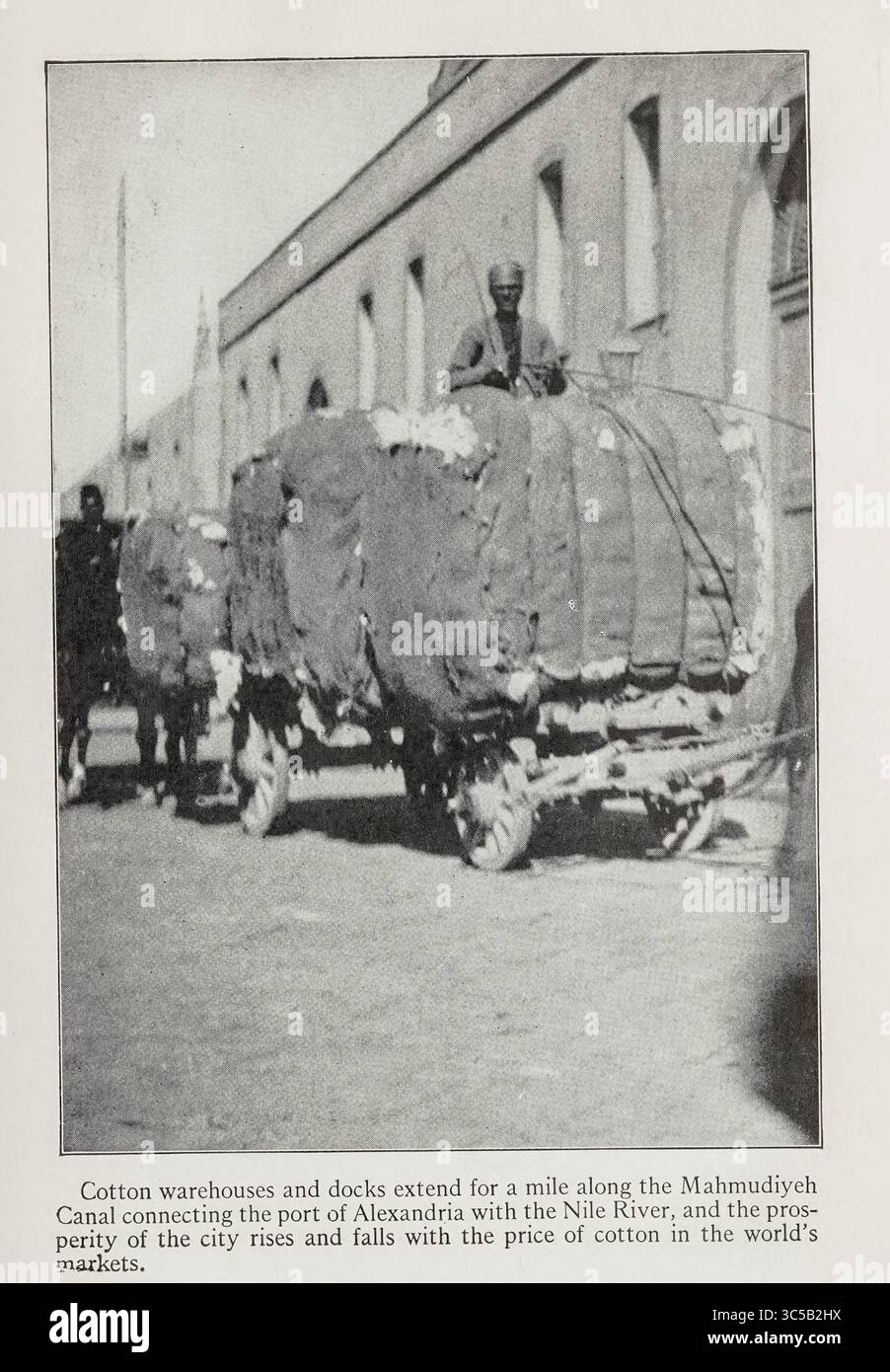 Sulle banchine di cotone di Alessandria fotografia in bianco e nero di Carpenter, Frank G. (Frank George), 1855-1924 Cairo to Kisumu : Egypt - the Sudan - Kenya Colony pubblicato nel 1928 Foto Stock
