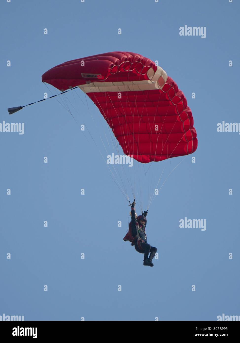 I Red Lions Foto Stock