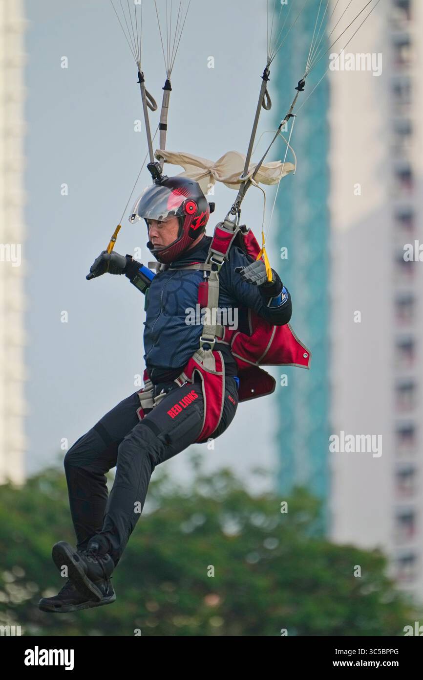 I Red Lions Foto Stock