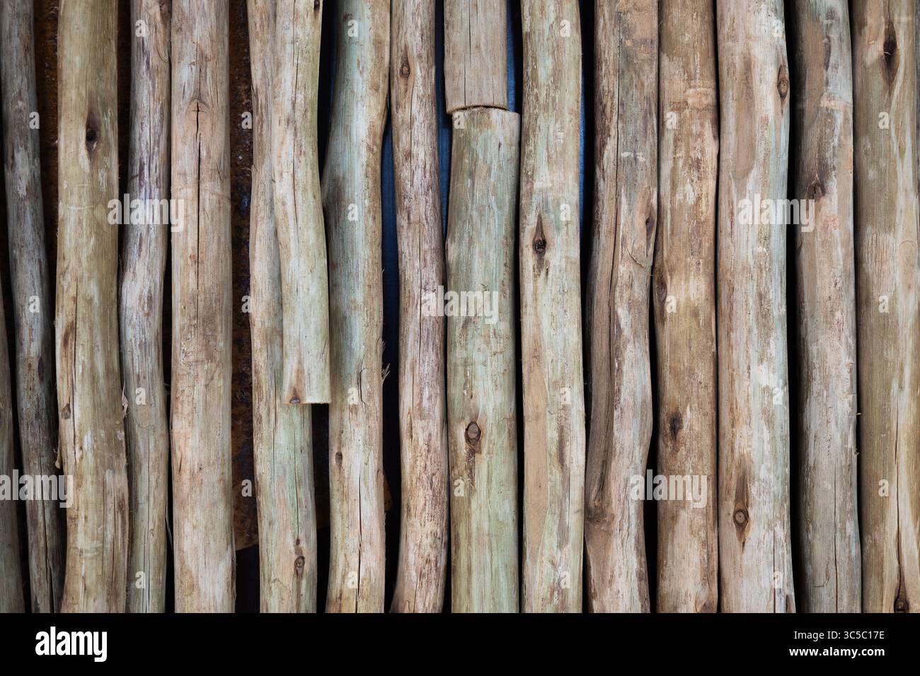 Vista ravvicinata di tronchi verticali in legno che formano una recinzione o un muro rustico, con texture visibili, nodi e imperfezioni naturali. Foto Stock
