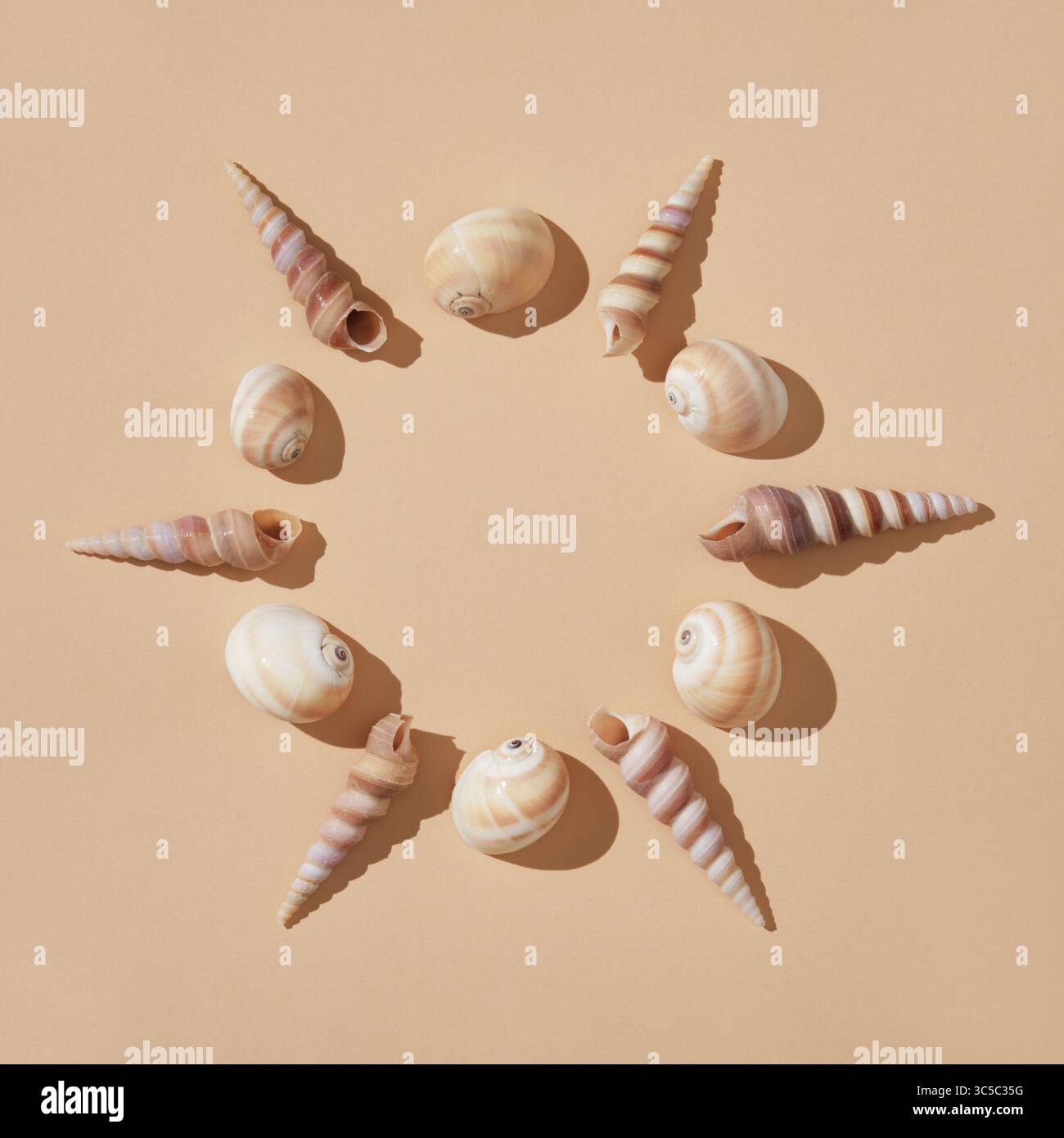 Cornice rotonda di conchiglie marroni su sfondo beige con ombre dure. Un posto per il testo. Foto Stock