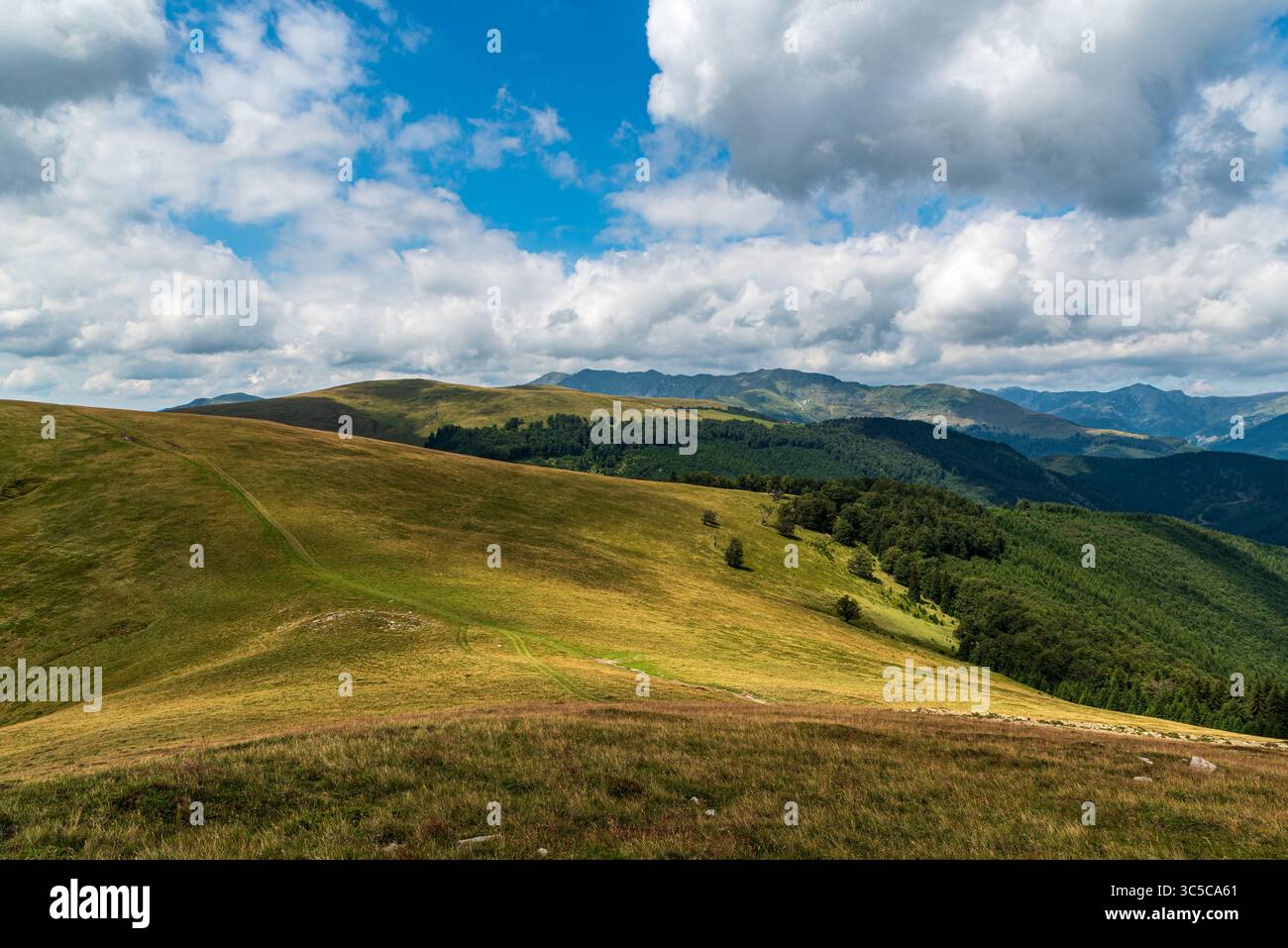 Bellissime montagne dei Carpazi meridionali in Romania - vista durante il trekking sulle montagne del Valcano durante l'estate, a mezzogiorno, con cielo blu e nuvole Foto Stock
