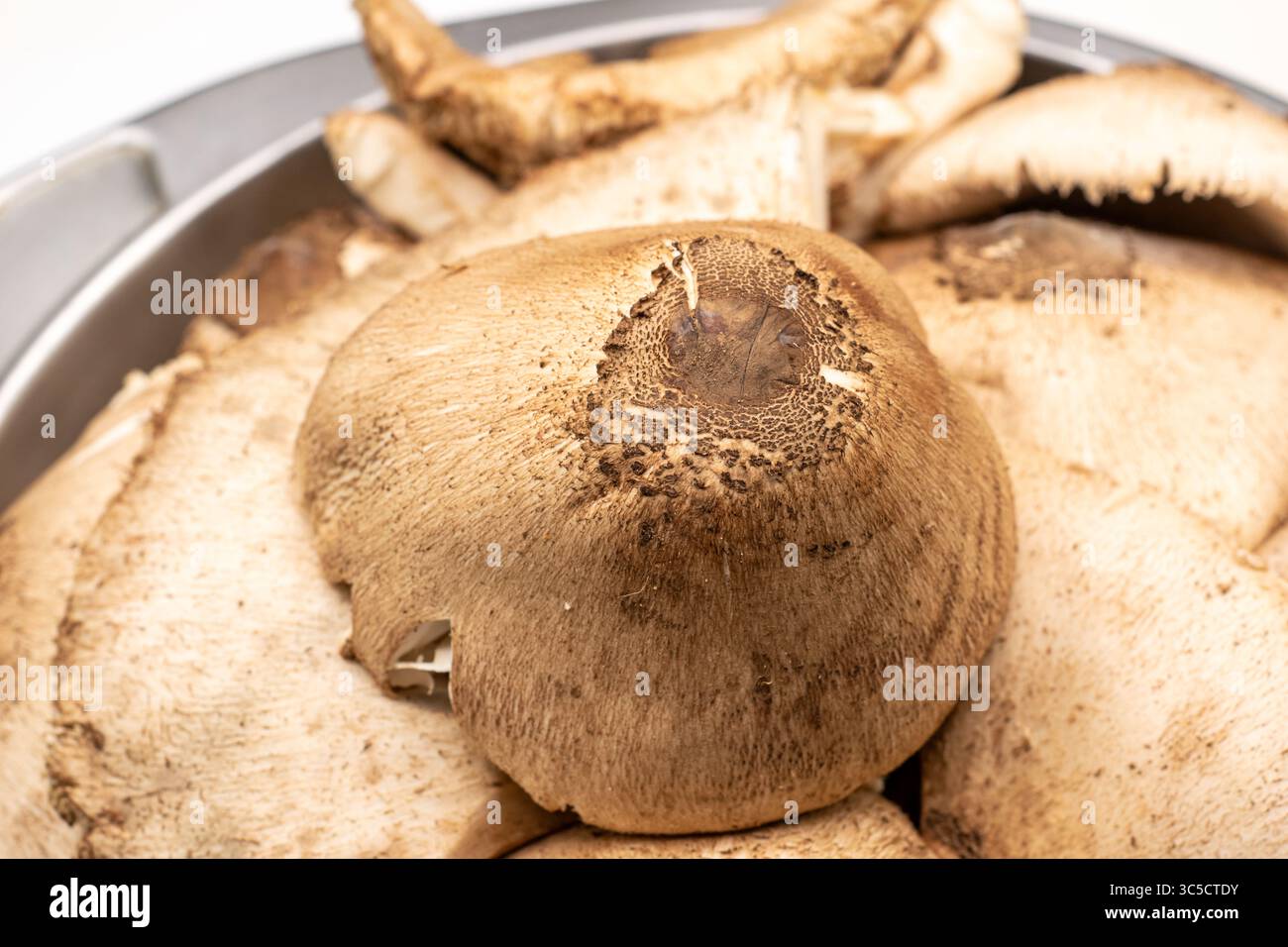 Un raccolto di funghi commestibili in autunno. Concepire l'attività stagionale della caccia ai funghi. Foto Stock