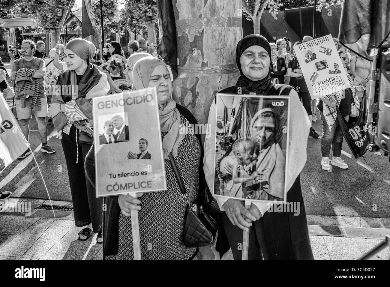 Logrono, la Rioja, SPAGNA. 29 luglio 2025. I manifestanti si riuniscono davanti al Palazzo del governo di la Rioja chiedendo un'azione urgente per liberare Sergio Toribio, un attivista spagnolo arrestato dalle truppe israeliane. I familiari chiedono un intervento diplomatico immediato. (Foto di MARIO MARTIJA) crediti: Mario Martija/Alamy Live News Foto Stock