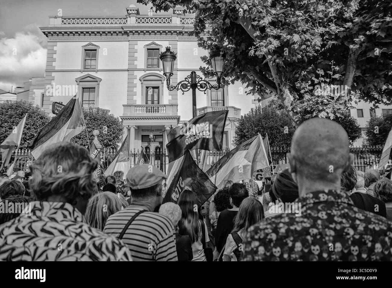 Logrono, la Rioja, SPAGNA. 29 luglio 2025. I manifestanti si riuniscono davanti al Palazzo del governo di la Rioja chiedendo un'azione urgente per liberare Sergio Toribio, un attivista spagnolo arrestato dalle truppe israeliane. I familiari chiedono un intervento diplomatico immediato. (Foto di MARIO MARTIJA) crediti: Mario Martija/Alamy Live News Foto Stock