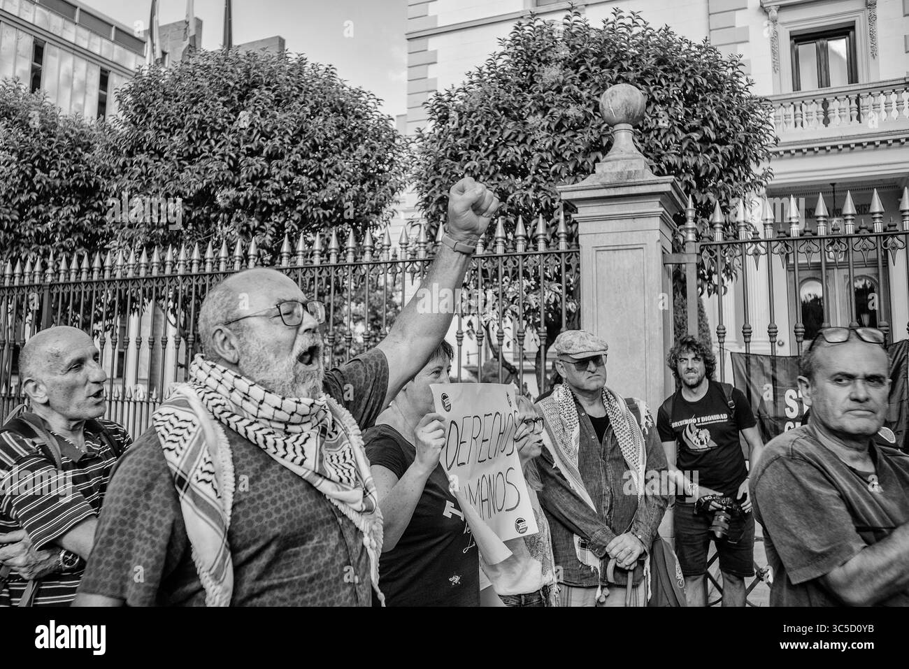 Logrono, la Rioja, SPAGNA. 29 luglio 2025. I manifestanti si riuniscono davanti al Palazzo del governo di la Rioja chiedendo un'azione urgente per liberare Sergio Toribio, un attivista spagnolo arrestato dalle truppe israeliane. I familiari chiedono un intervento diplomatico immediato. (Foto di MARIO MARTIJA) crediti: Mario Martija/Alamy Live News Foto Stock