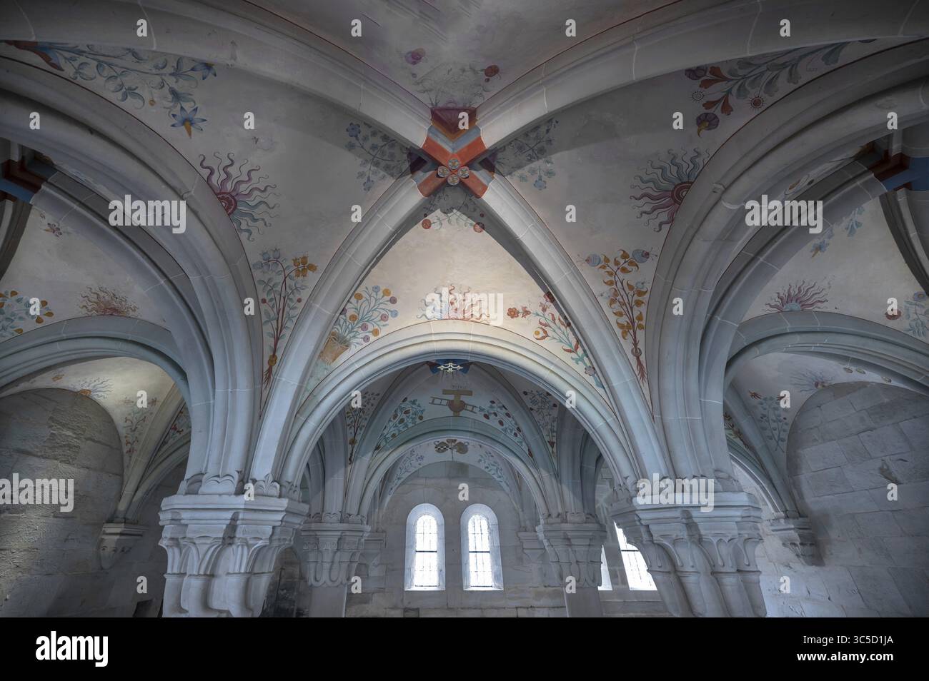 Soffitto a volta nella sala capitolare, completato nel 1220, non dipinto fino al 1528 Abbazia di Bebenhausen, distretto di Bebenhausen di Tuebingen, Baden-Wuerttembe Foto Stock