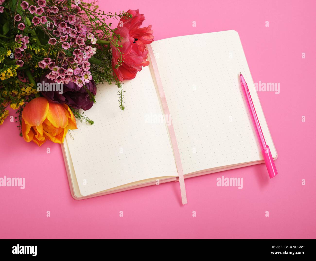I tulipani colorati giacciono su una pagina vuota del taccuino, sfondo rosa. Spazio per il testo. Foto Stock