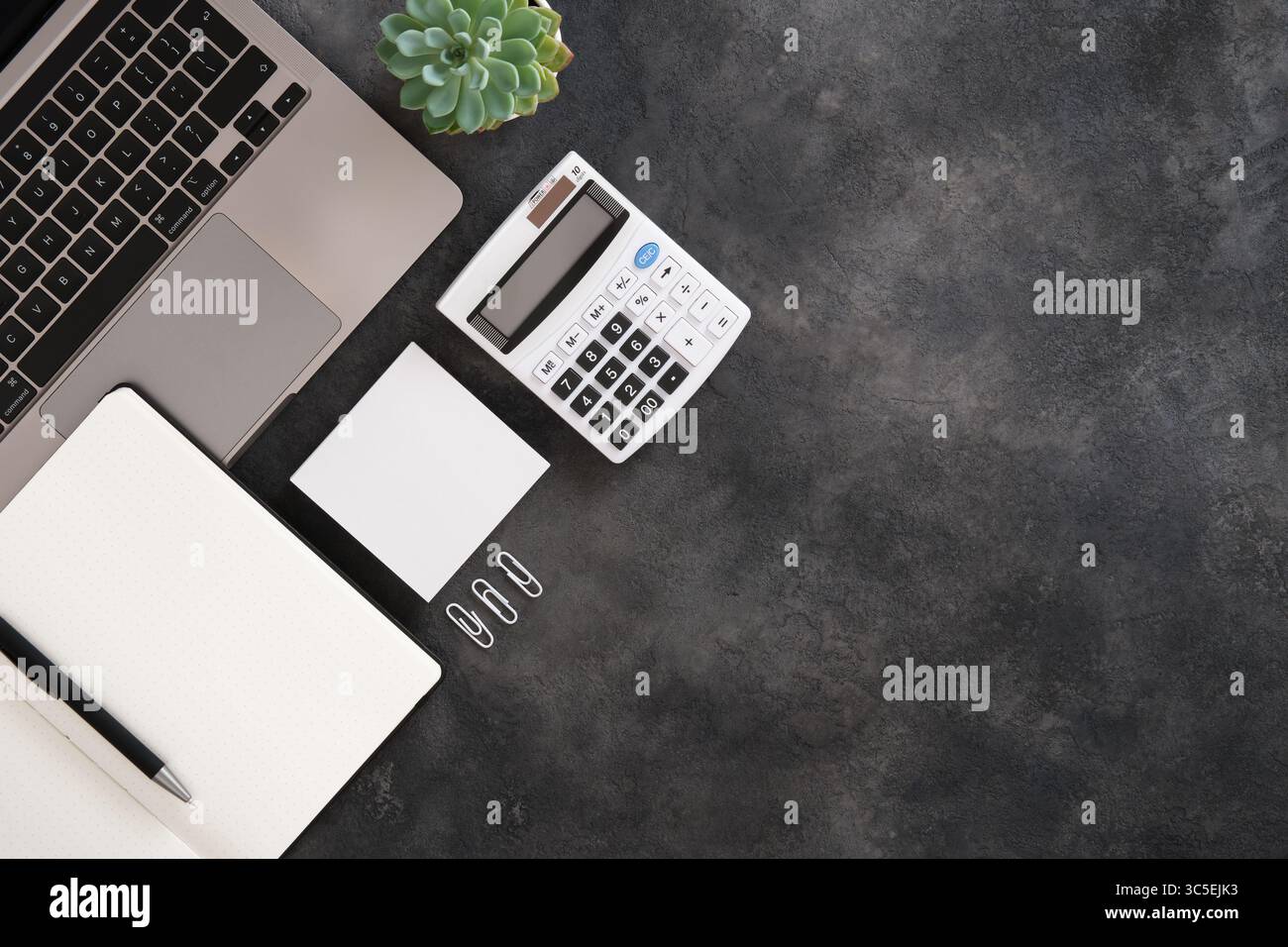 Spazio di lavoro minimalista con laptop, sistema di pianificazione proiettile nero, calcolatrice, penna e piante succulente su sfondo scuro. Inserire il testo. Foto Stock