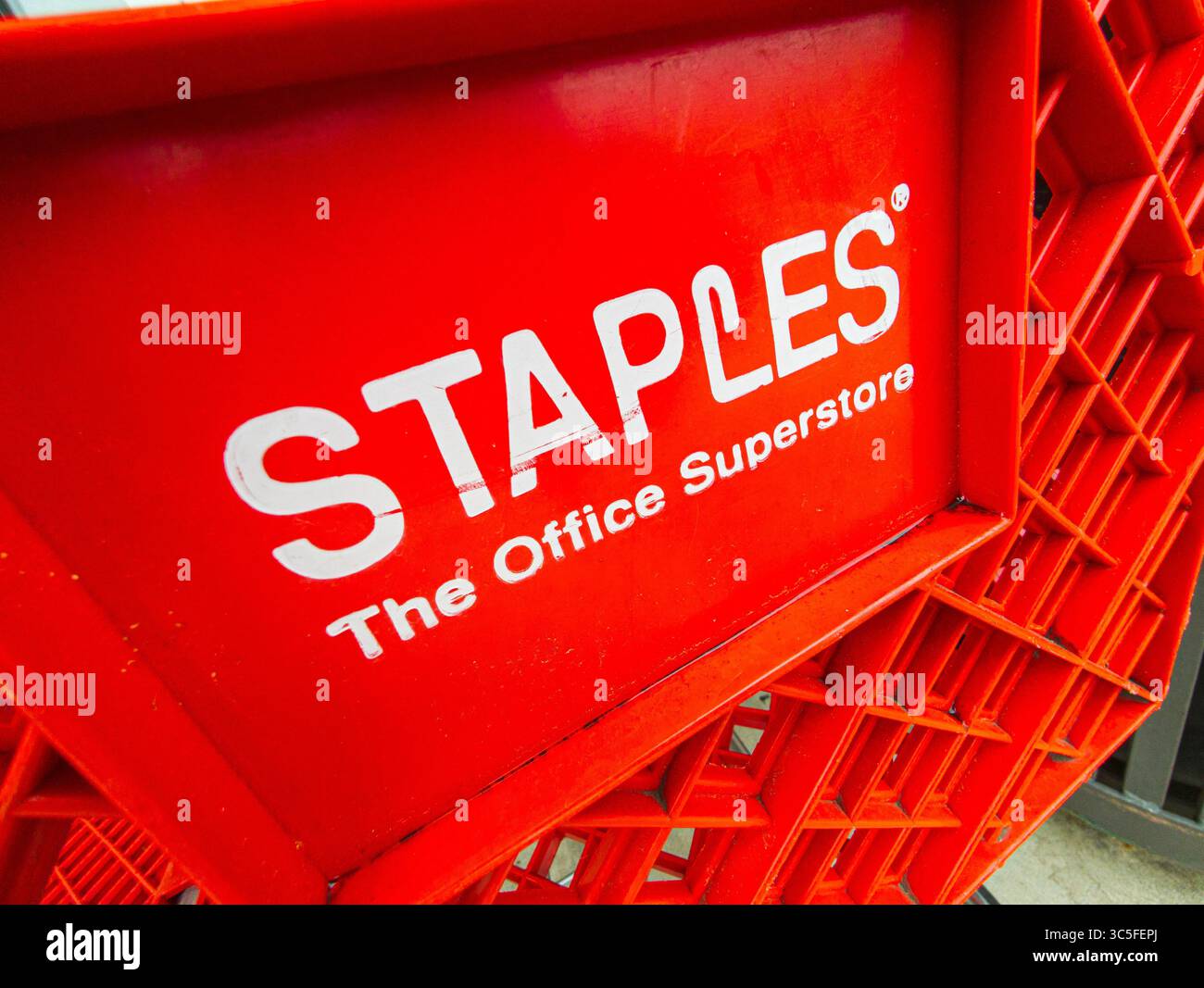 Logo Staples illuminato sul moderno punto vendita al dettaglio di forniture per ufficio - Immagine stock catturata con smartphone